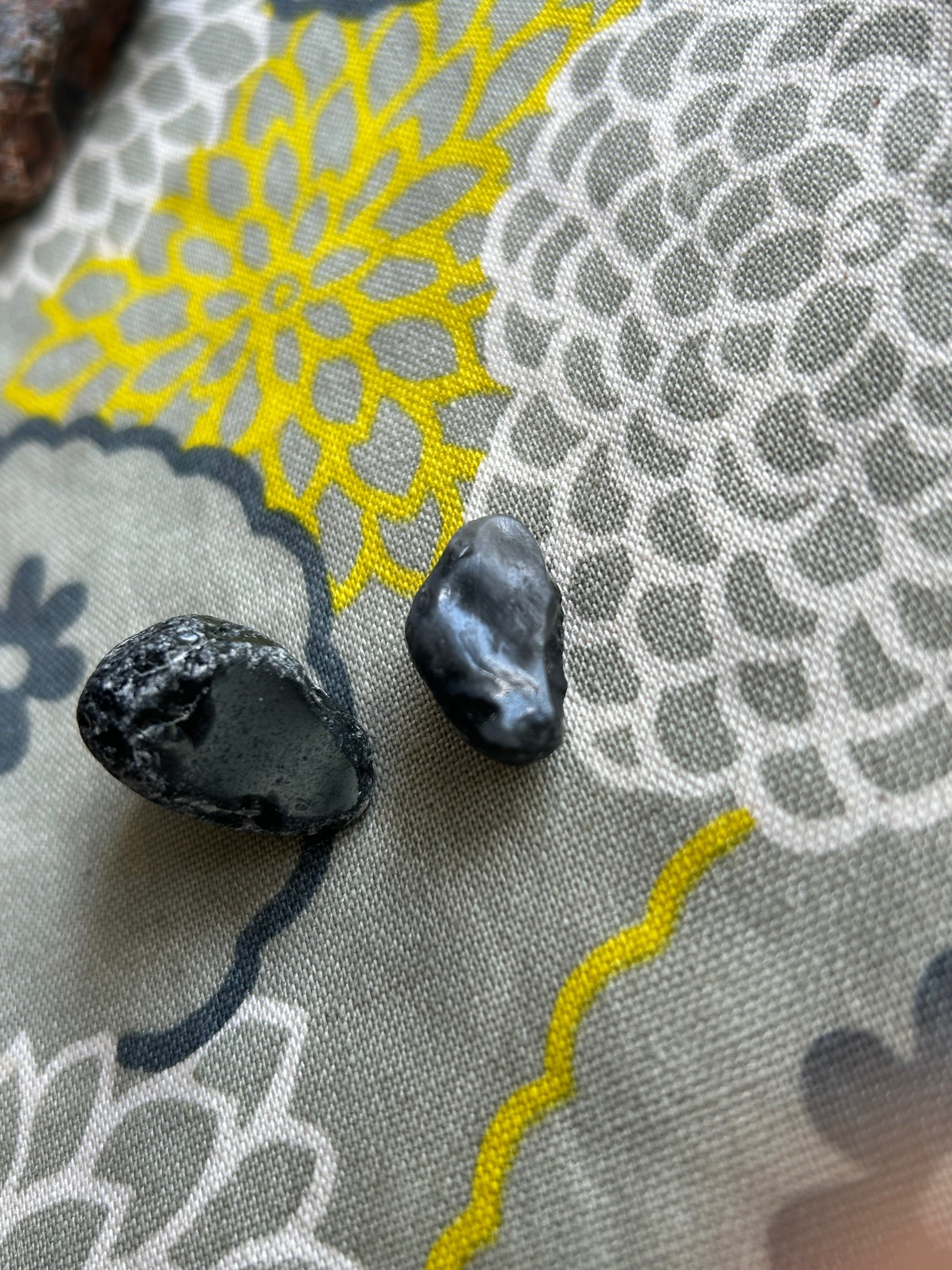 十勝石を探しに行こう！｜いづみ