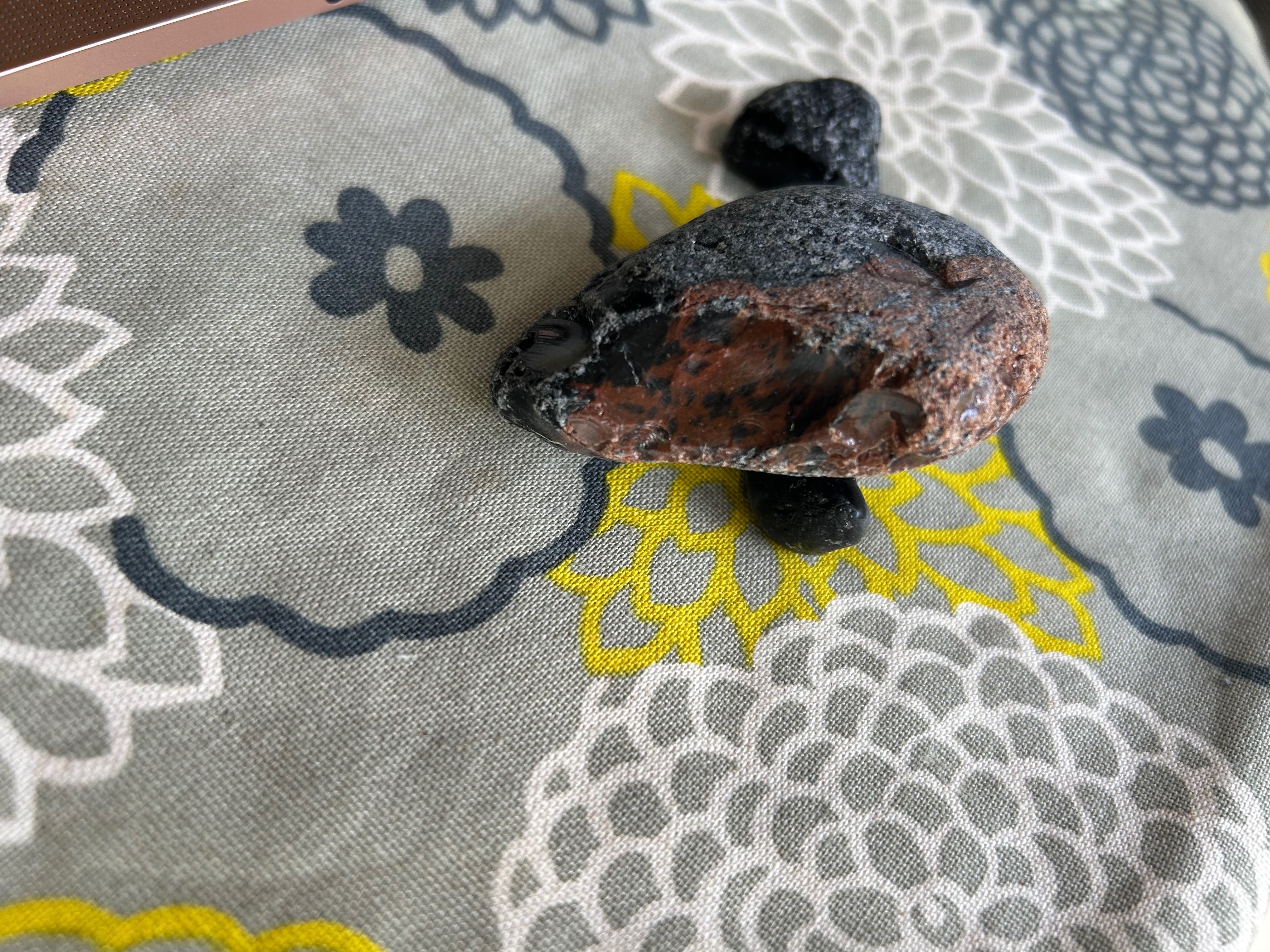 十勝石を探しに行こう！｜いづみ