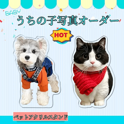ペット おもちゃ 犬猫 オーダーメイド グッズ｜syotrue