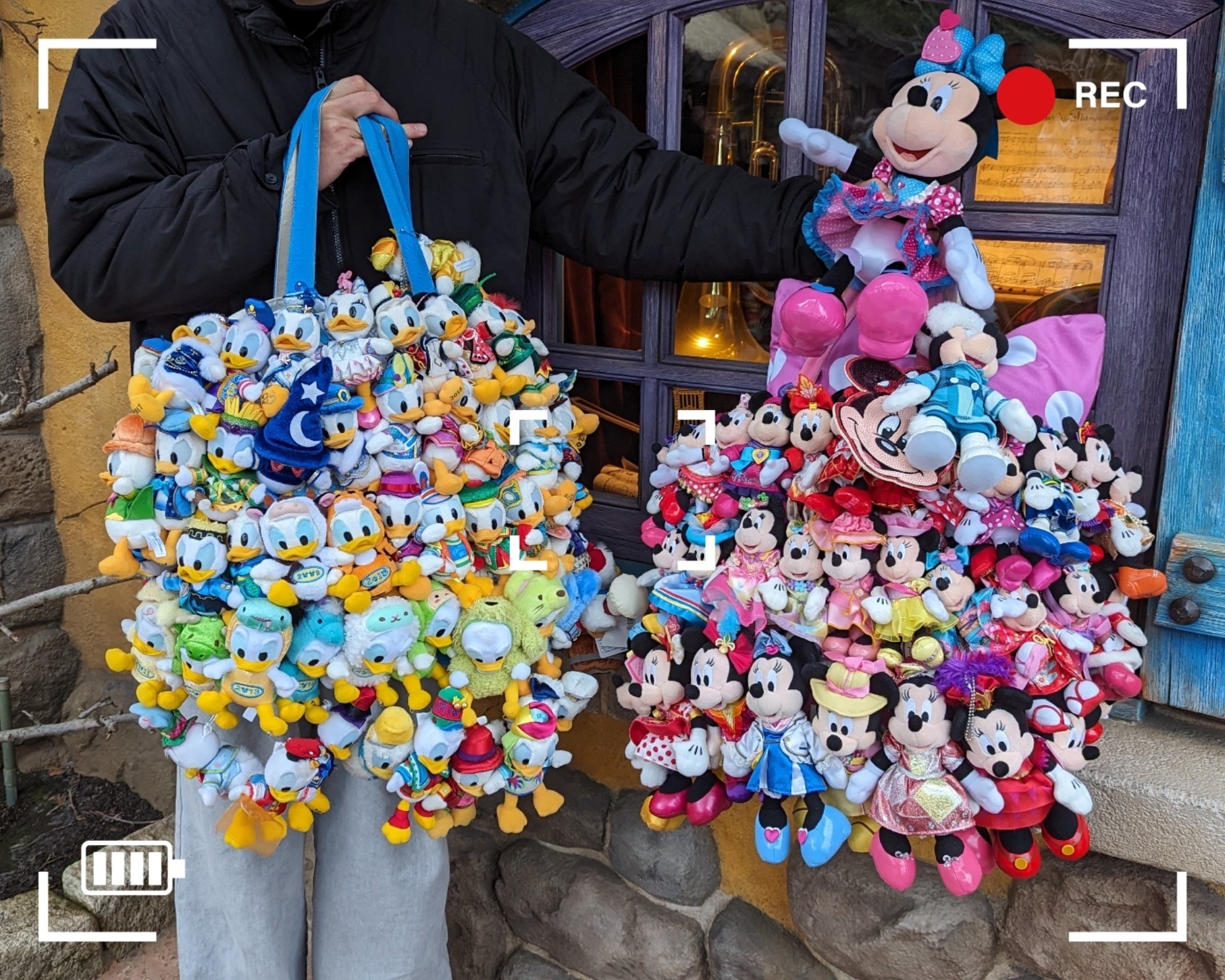 ディズニーの世界が大好きなのです②January 2024｜loveheart (ラブハート)