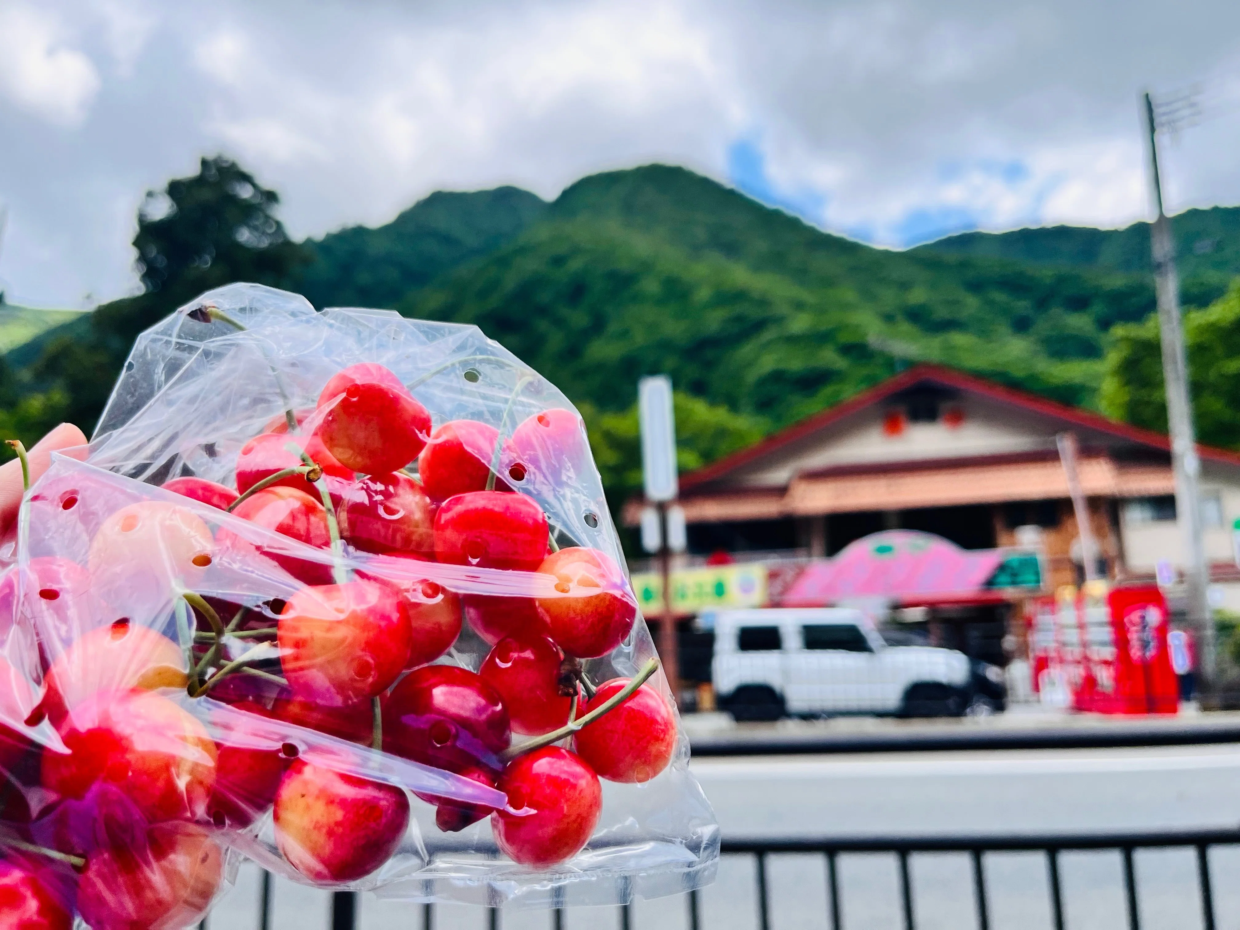 山形県東根市】さくらんぼに壮大な自然、わくわくする遊び場のまち