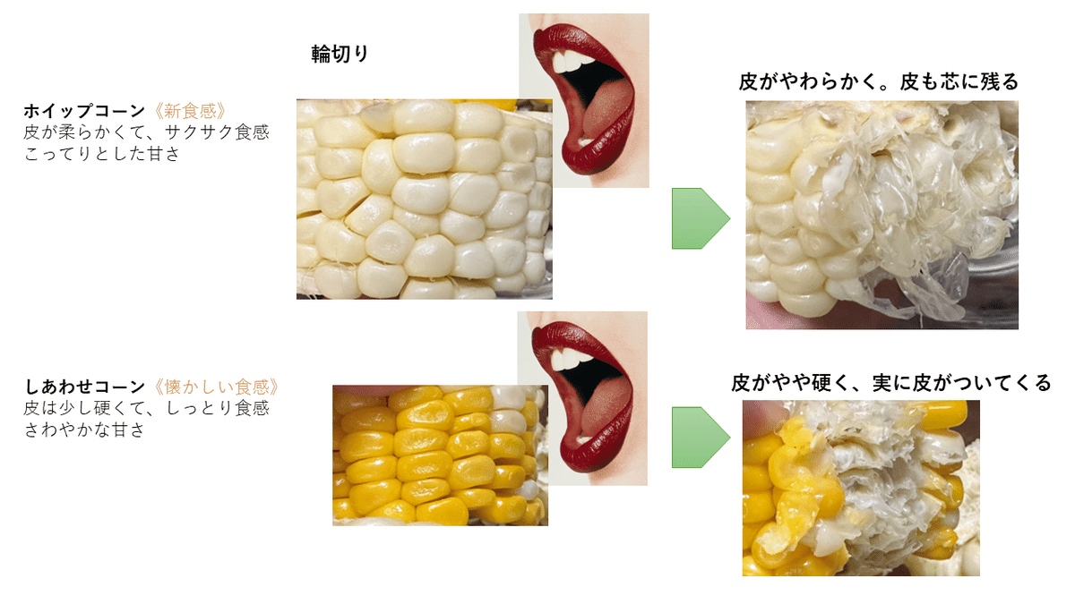 2024年とうもろこし【終了】 販売終了【2024年夏】絶対朝採りとうもろこし（18本入り
