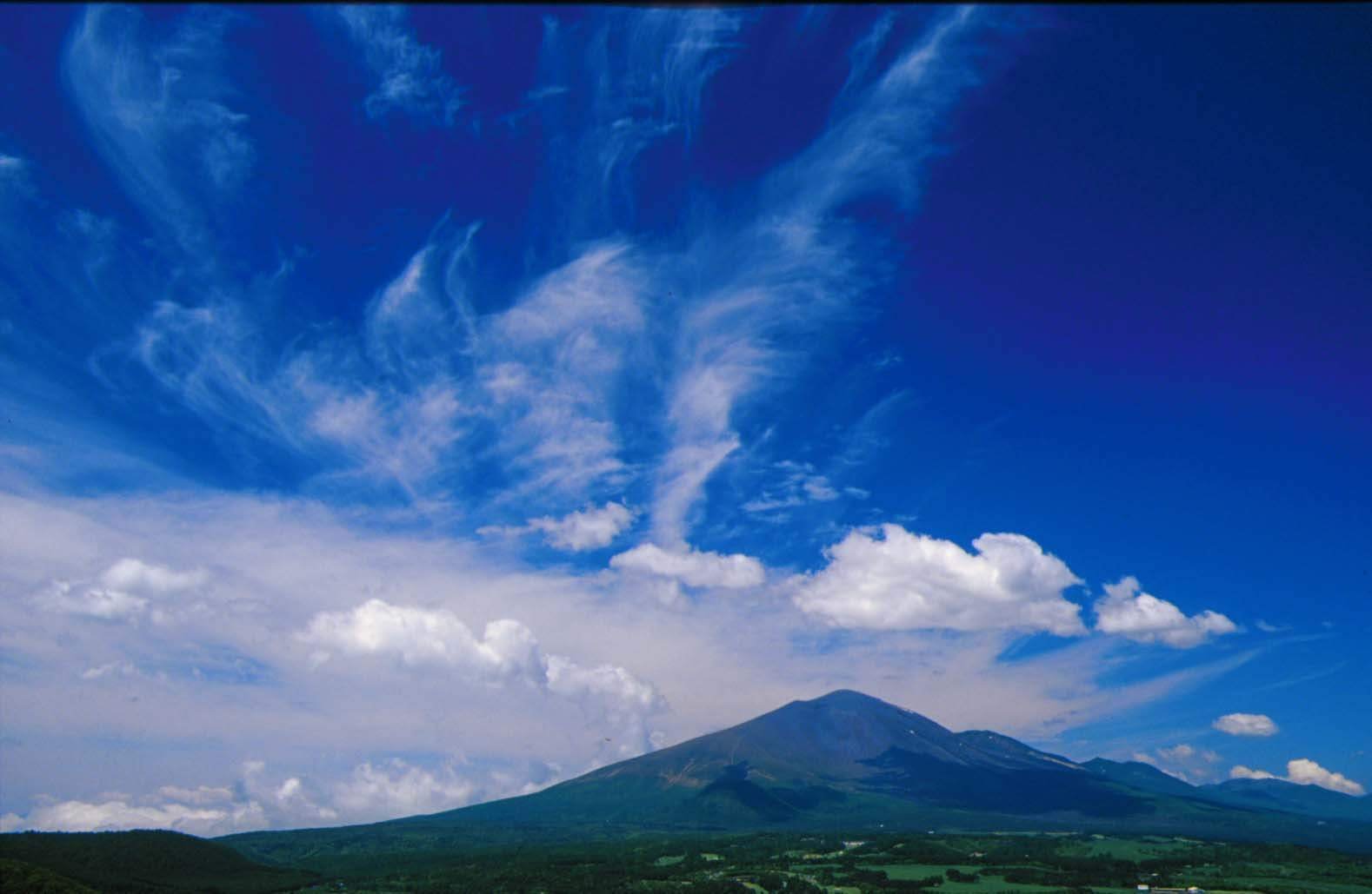 TAMRON SP 20-40mm F/2.7-3.5 Aspherical IF｜陽気なおじさん