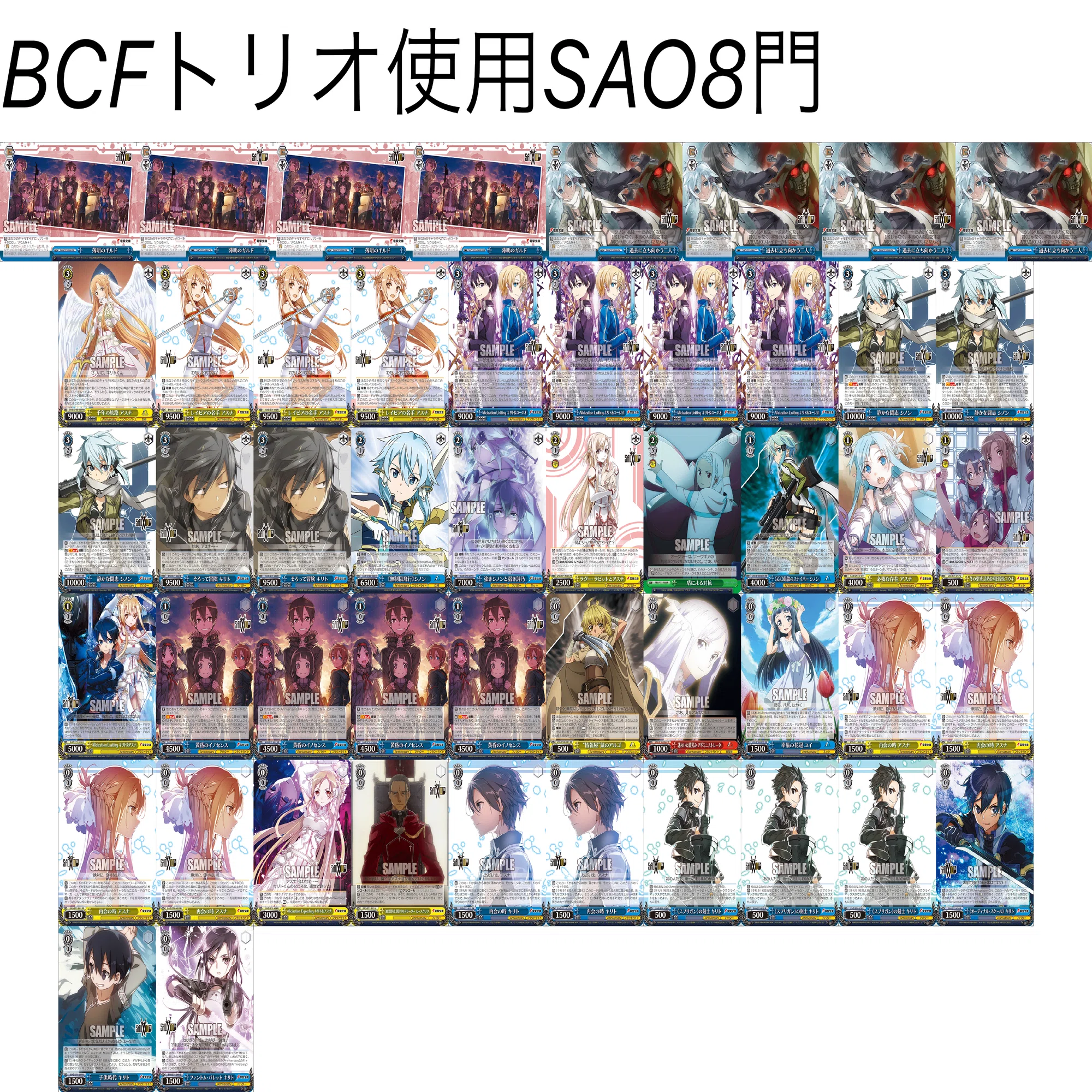 2024BCF札幌地区の記録✍️タイカプ優勝までのお話込｜野崎 茨道