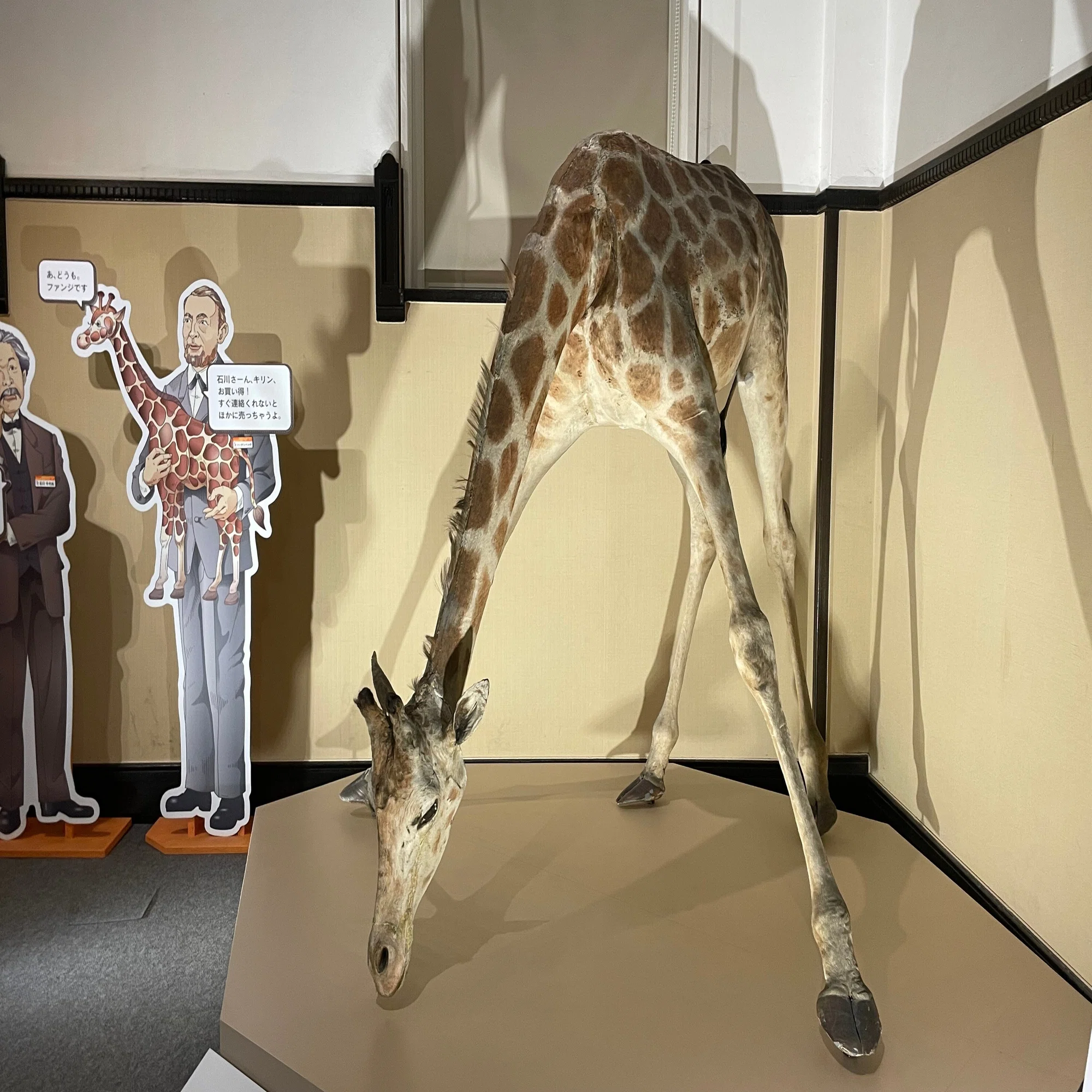 ニュース】人気本『標本バカ』の特集企画が上野の科博でスタート間近 