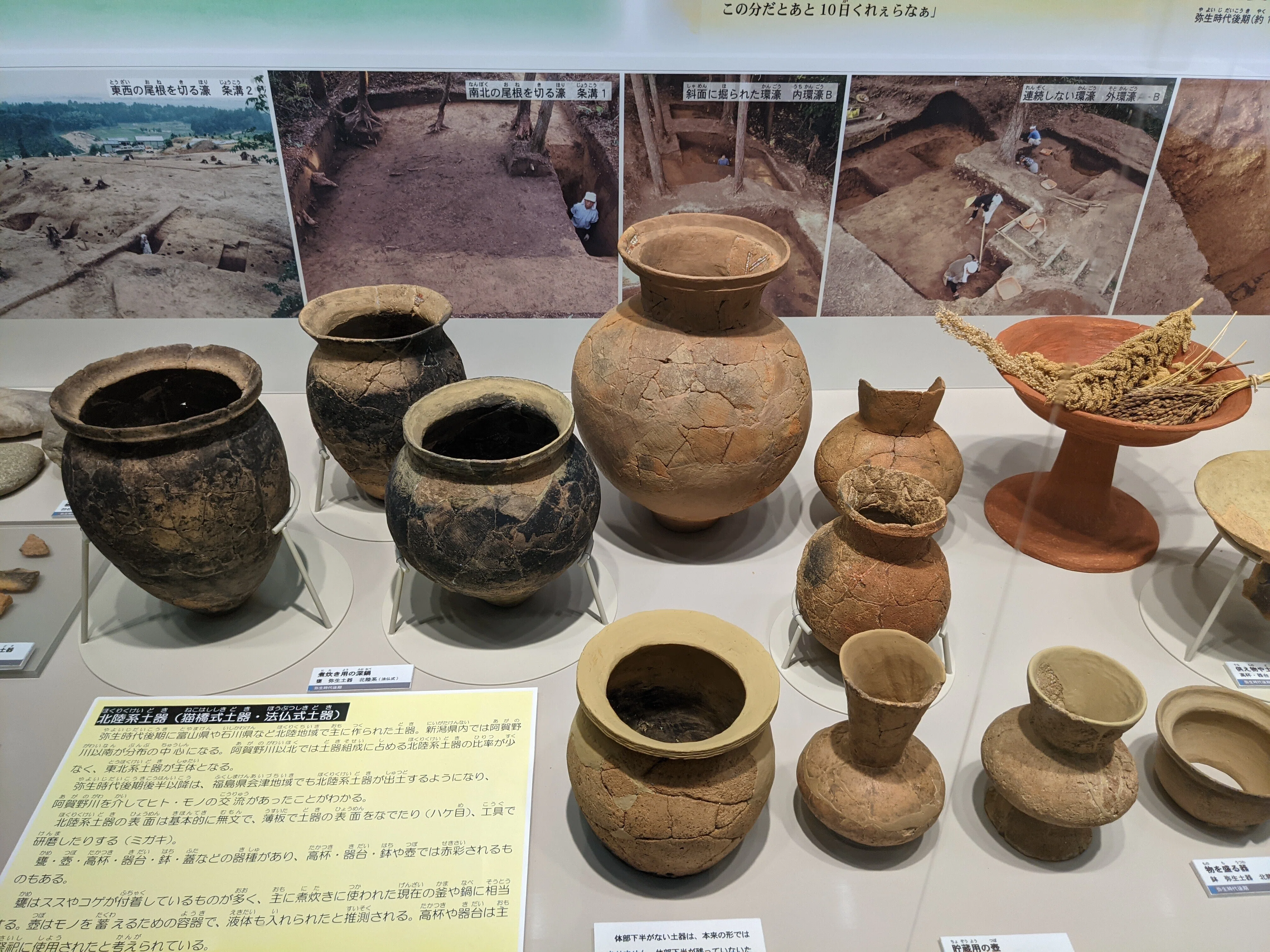 わし流 にいがたブラタモリの旅 その10 「古津八幡山遺跡② 〜弥生時代