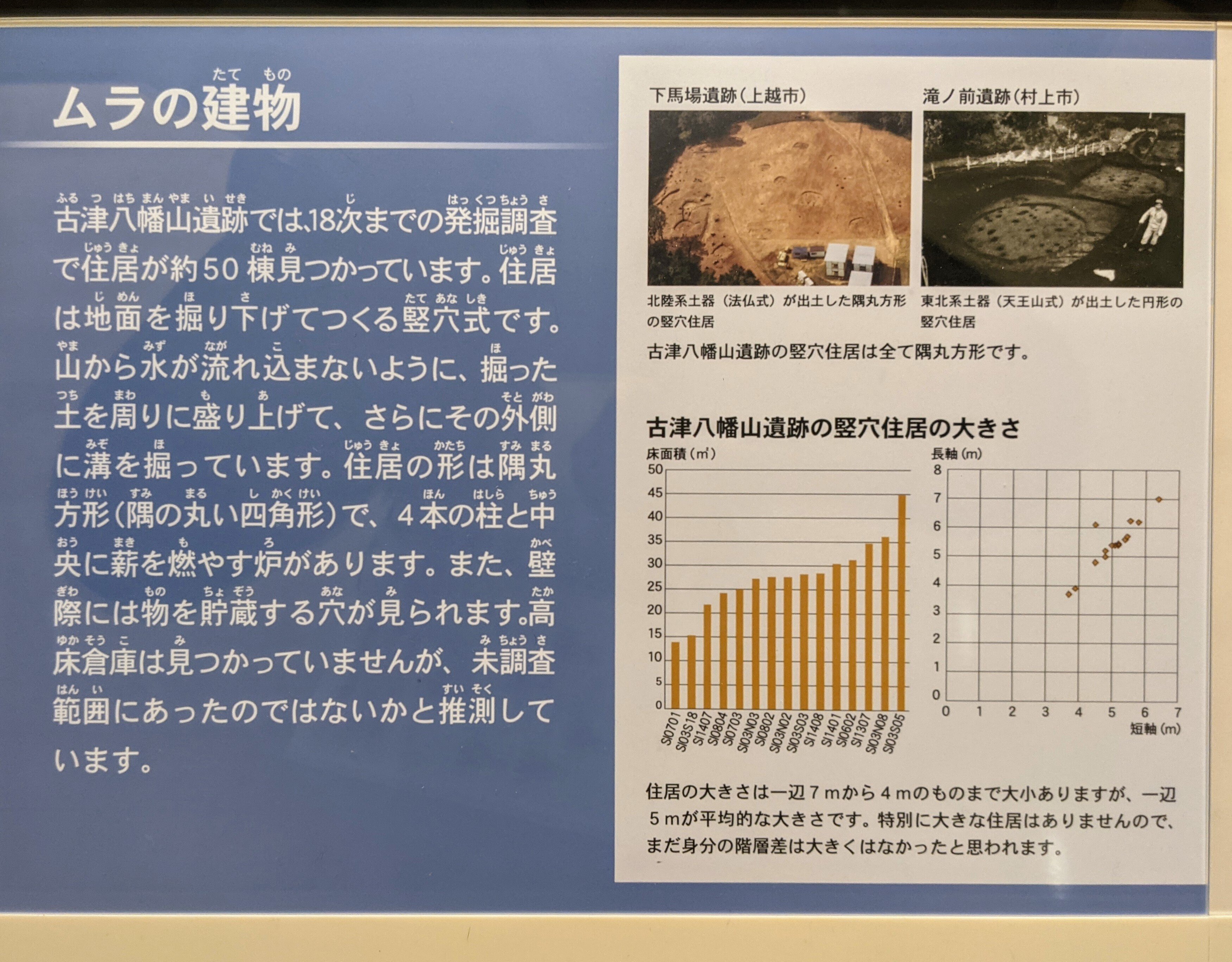 わし流 にいがたブラタモリの旅 その10 「古津八幡山遺跡② 〜弥生時代