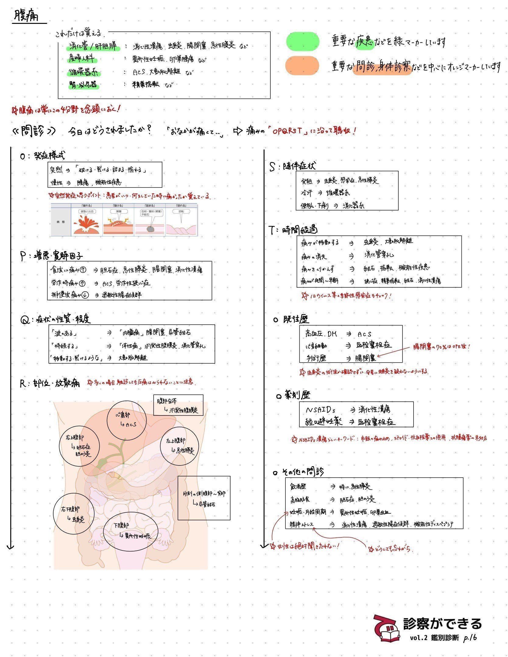 即購入OK》診察ができる 身体診察・鑑別診断セット 診察ができる vol.