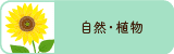 自然・植物