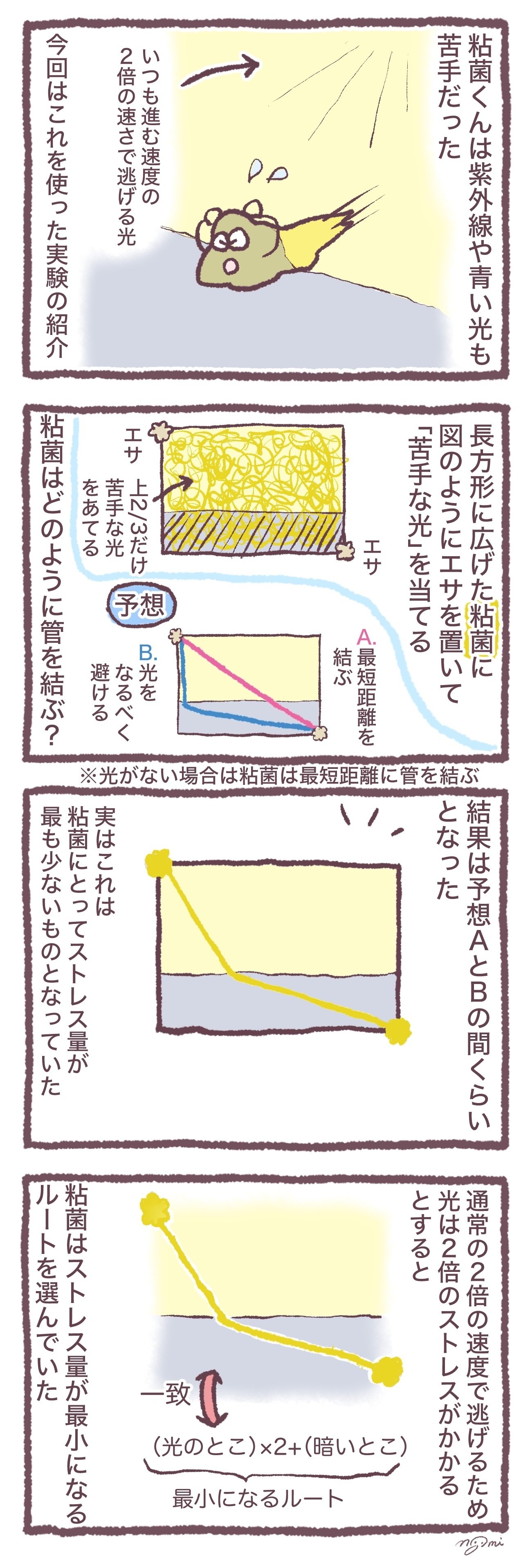 4コマ】最適解を計算する粘菌くん #149｜なごみ@まいにち４コマ