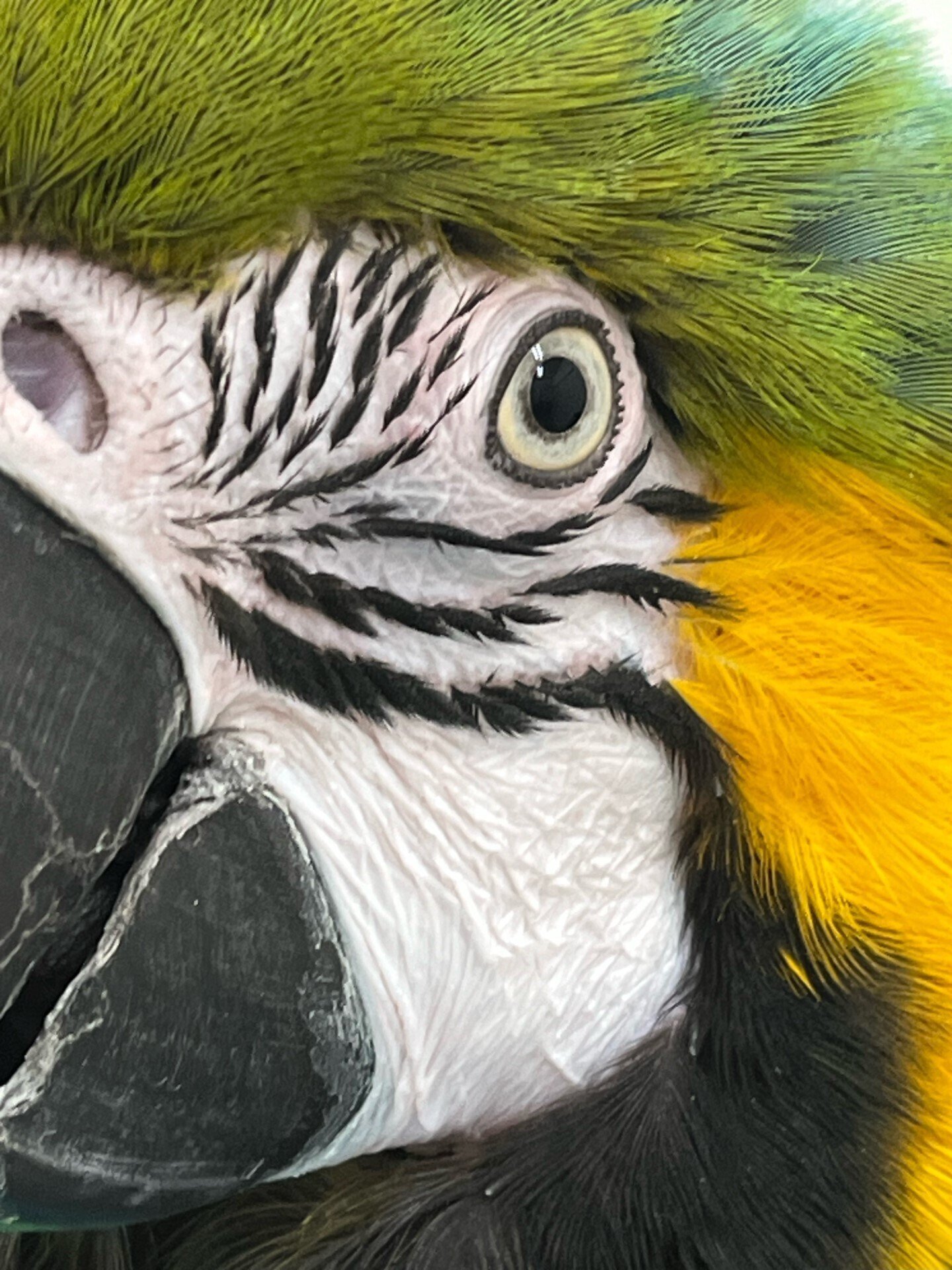 鳥たちの見えている世界｜仙台うみの杜水族館