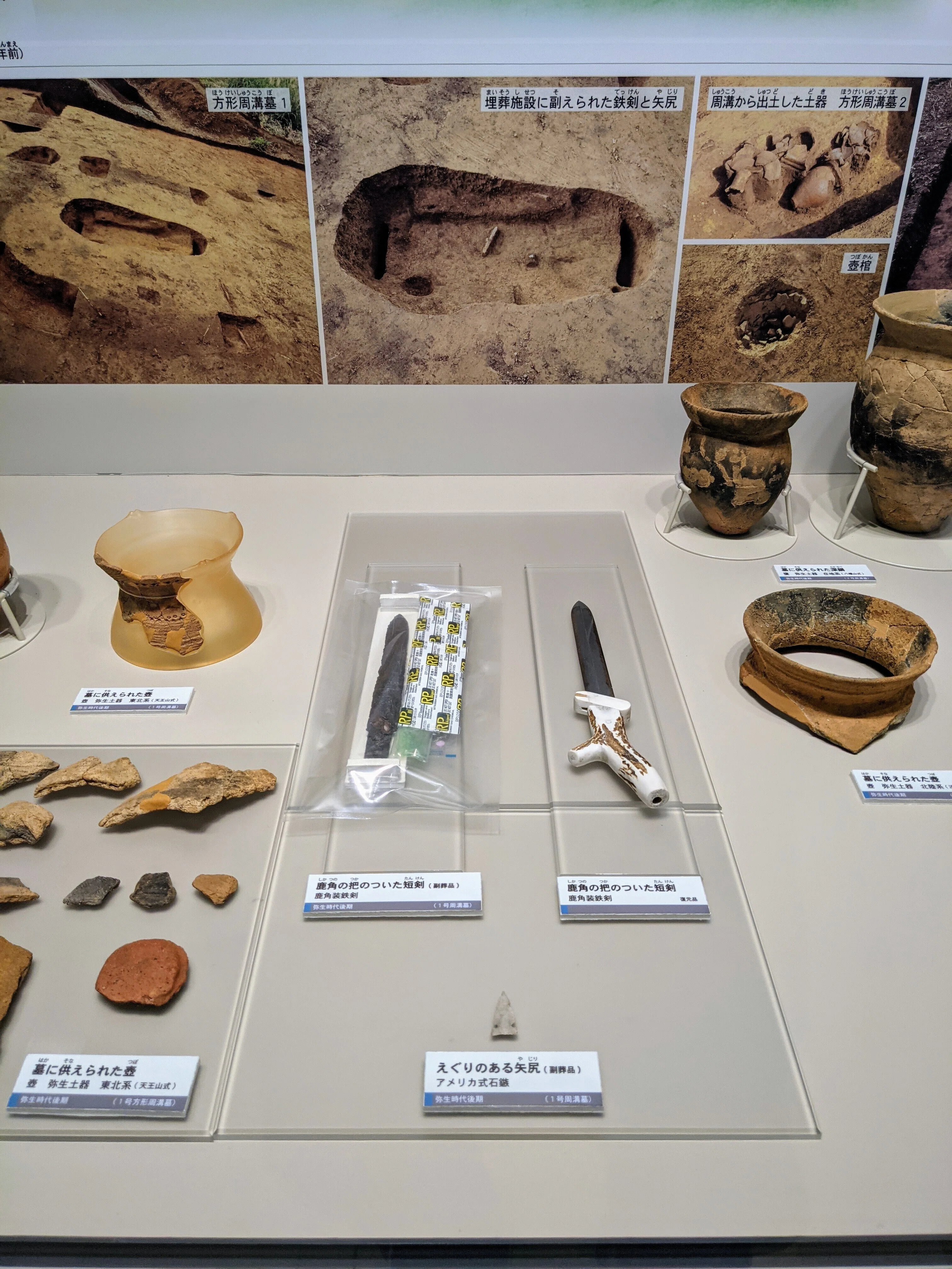 わし流 にいがたブラタモリの旅 その11 「古津八幡山遺跡 ③ 〜古墳編
