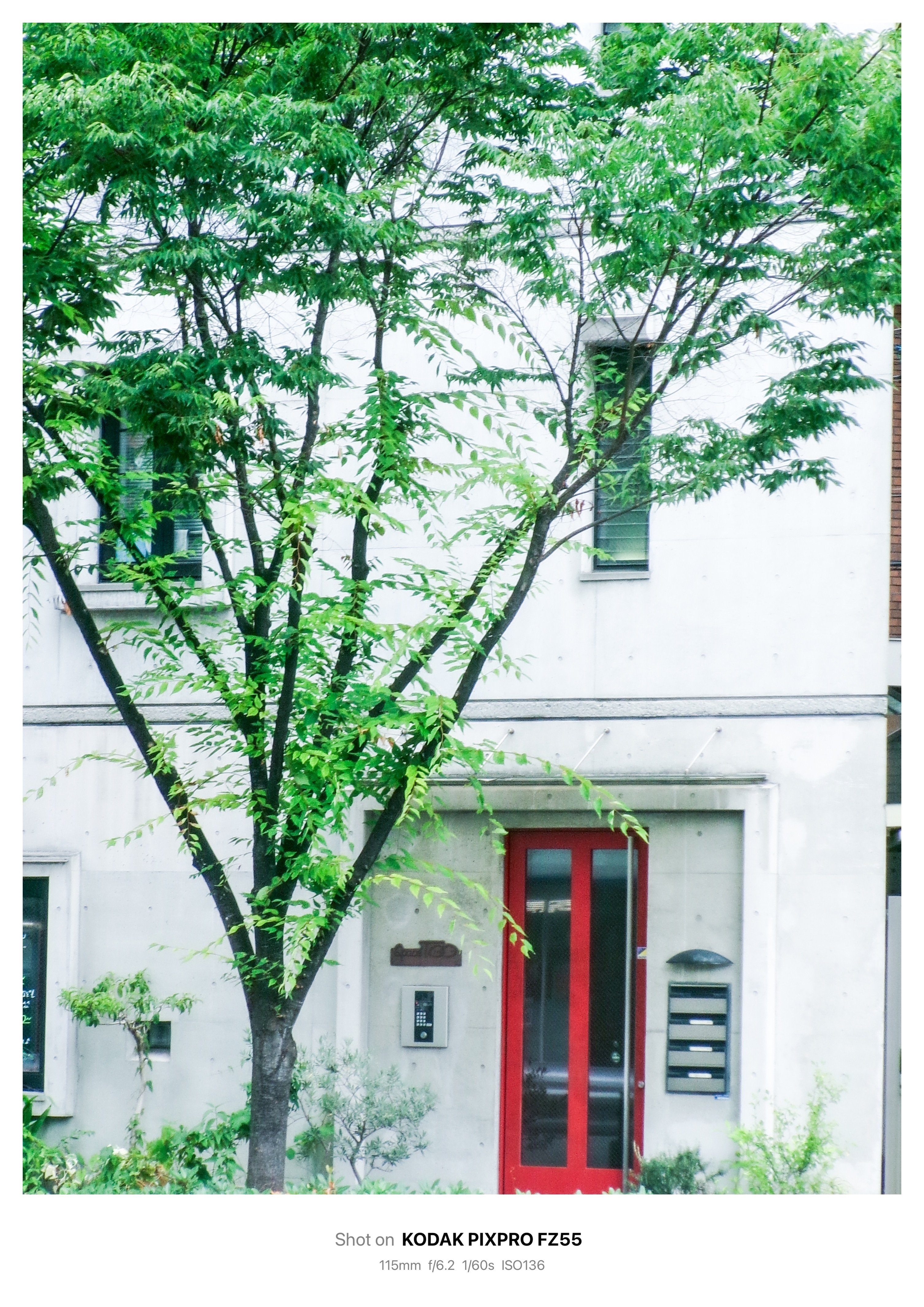 【作例あり】mamiyaSEKORC80mmF4+FotodioxM645-GF backend=imagemagick;version=1;