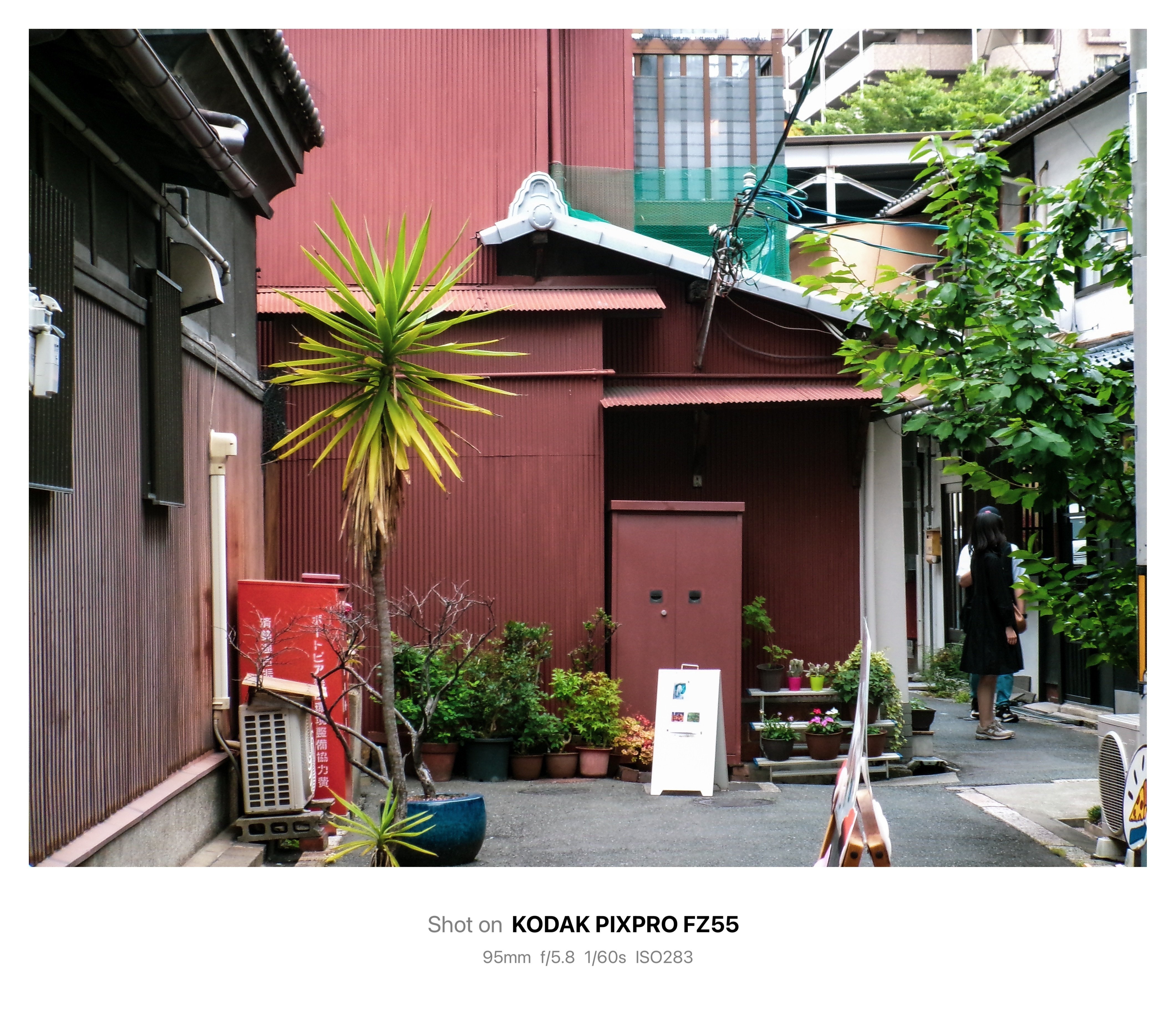 Photo Diary #4 -FZ55作例-｜唯野みりん