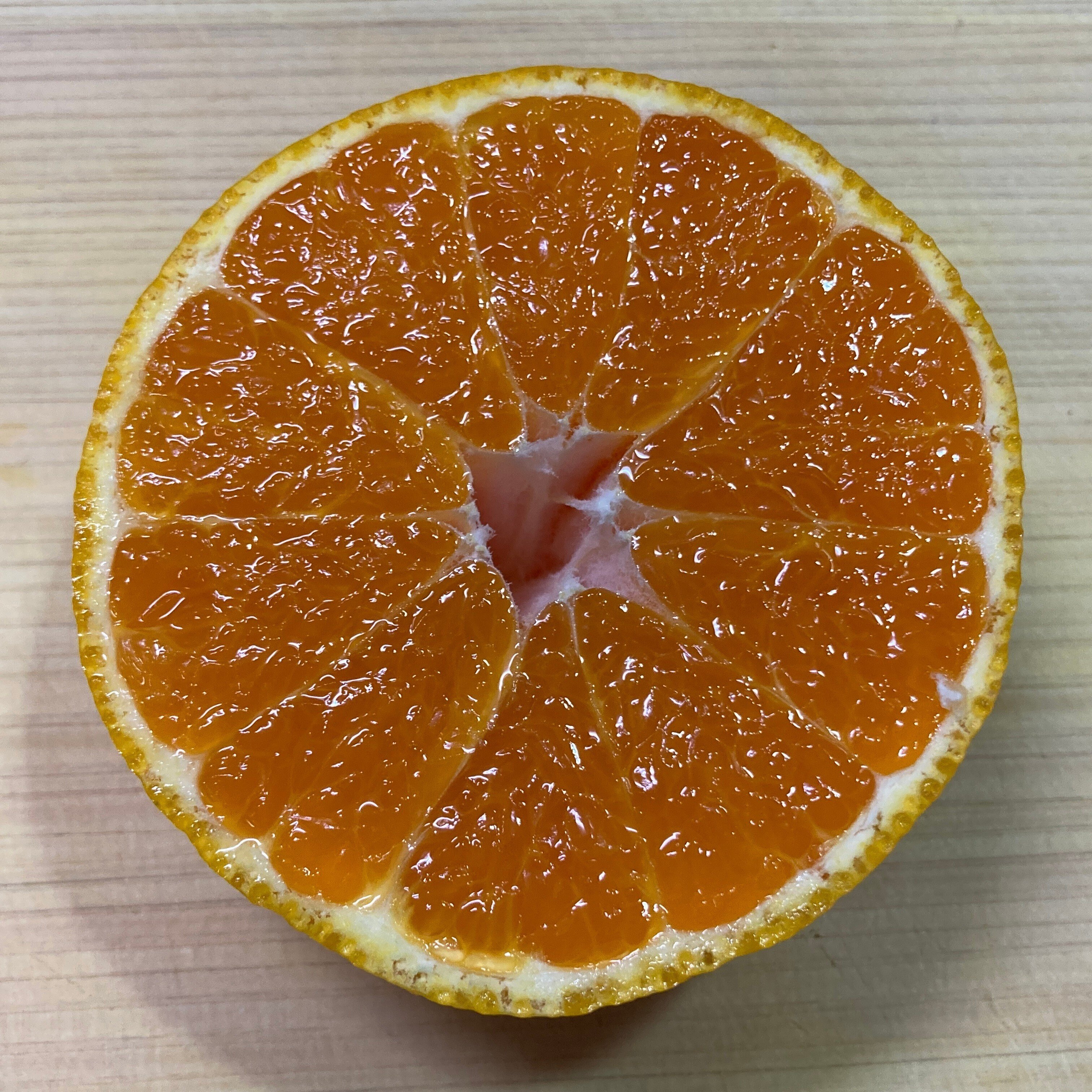 柑橘日記【デコポン】｜樹木医Sakurai