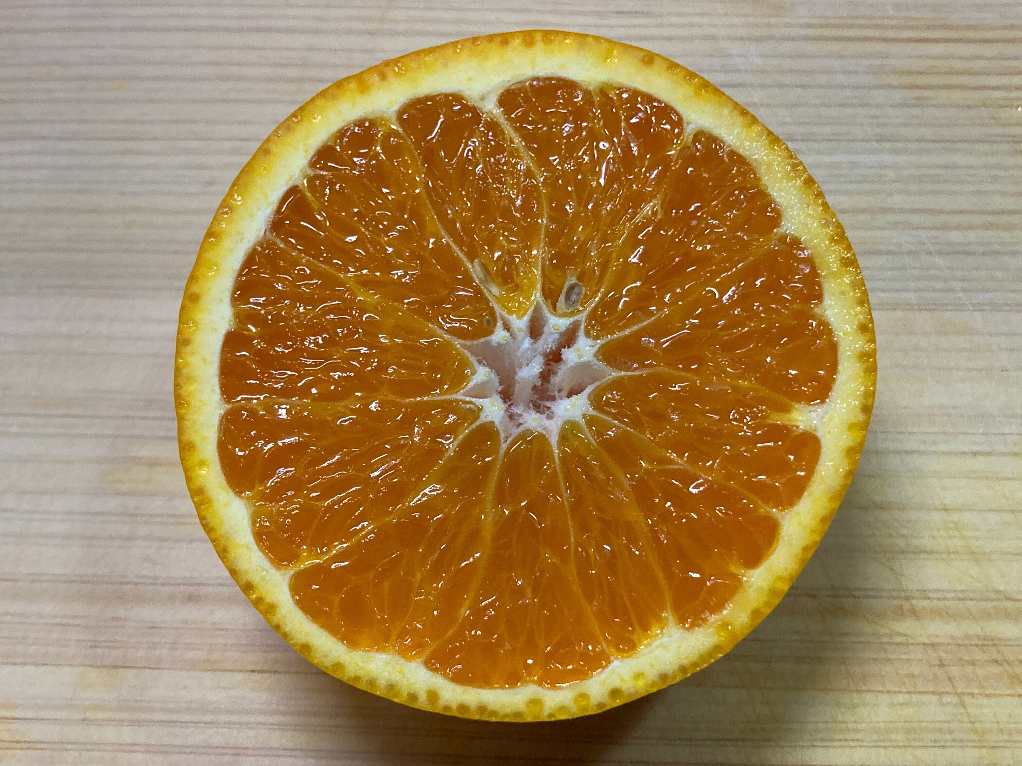 柑橘日記【春峰(しゅんぽう)】｜樹木医Sakurai