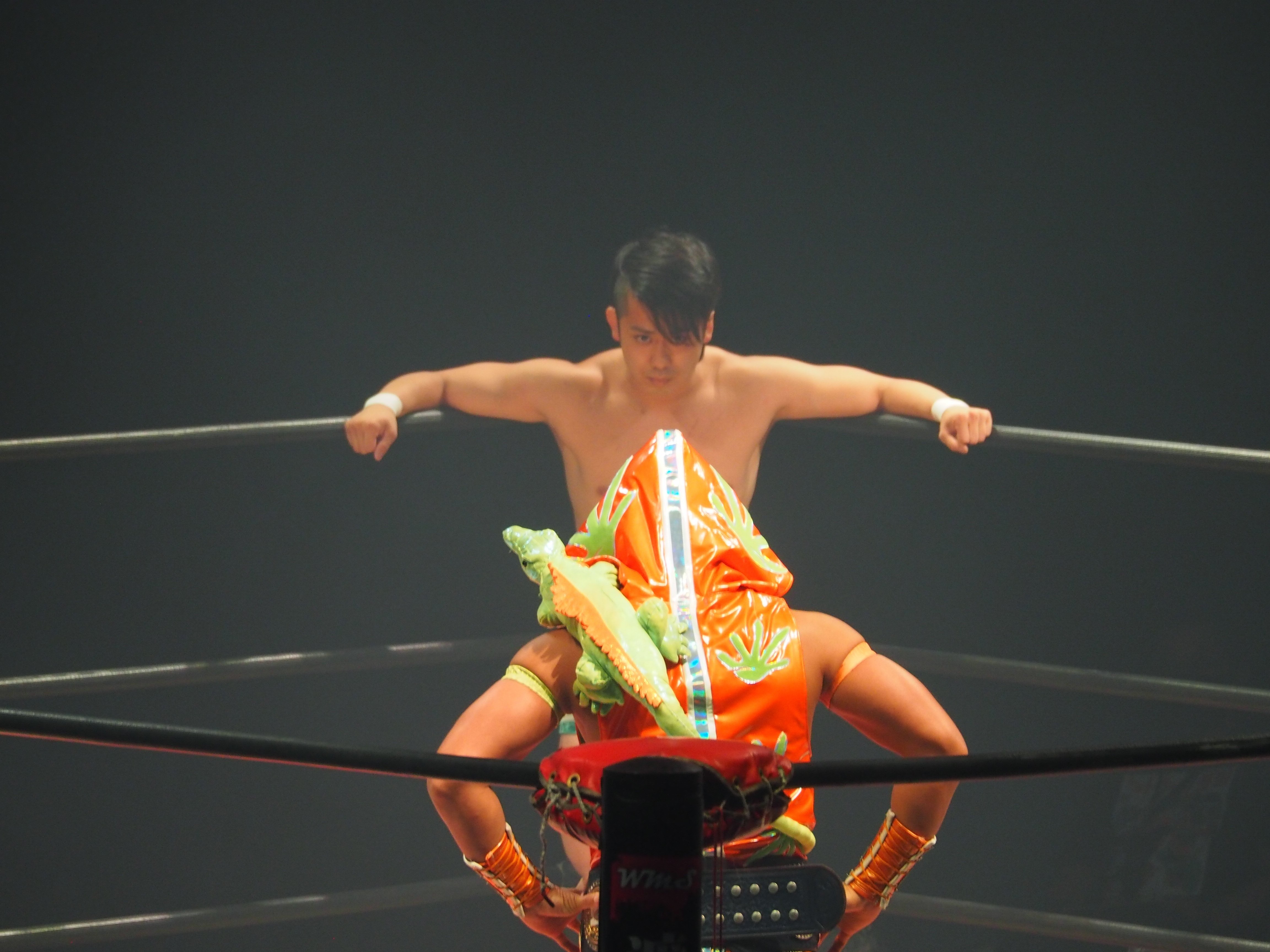 大日本プロレス 【佐藤孝亮】 選手着用ジャージ2024上下 大日本プロレス 【佐藤孝亮】 選手着用ジャージ2024上下（佐藤孝