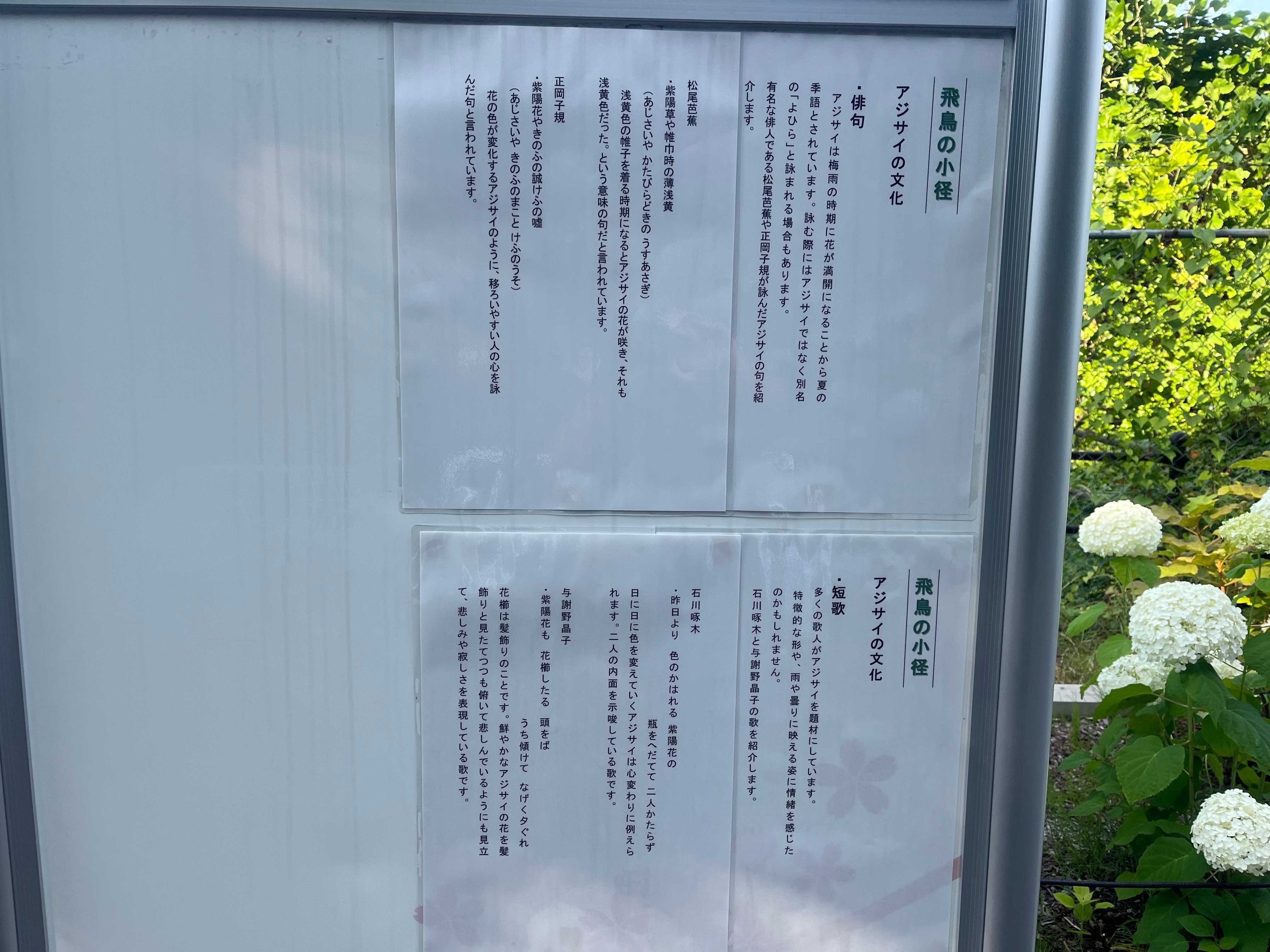 北区を歩く①～飛鳥の小径（紫陽花ロード）｜かずくんの備忘録