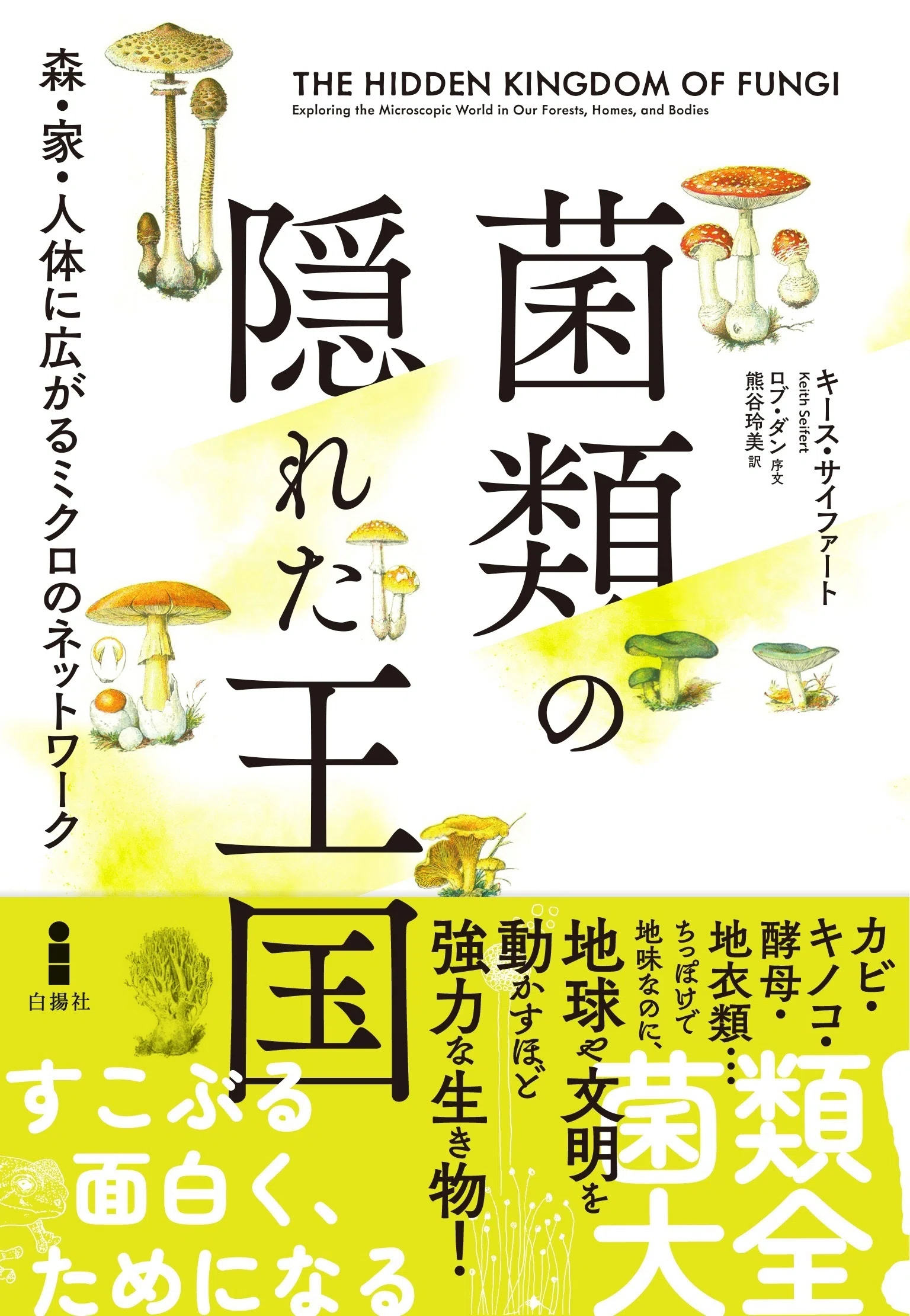 【中古本】菌類の事典 ありそうでない一般向け菌類入門書『菌類の隠れた王国』試し読み｜白揚社