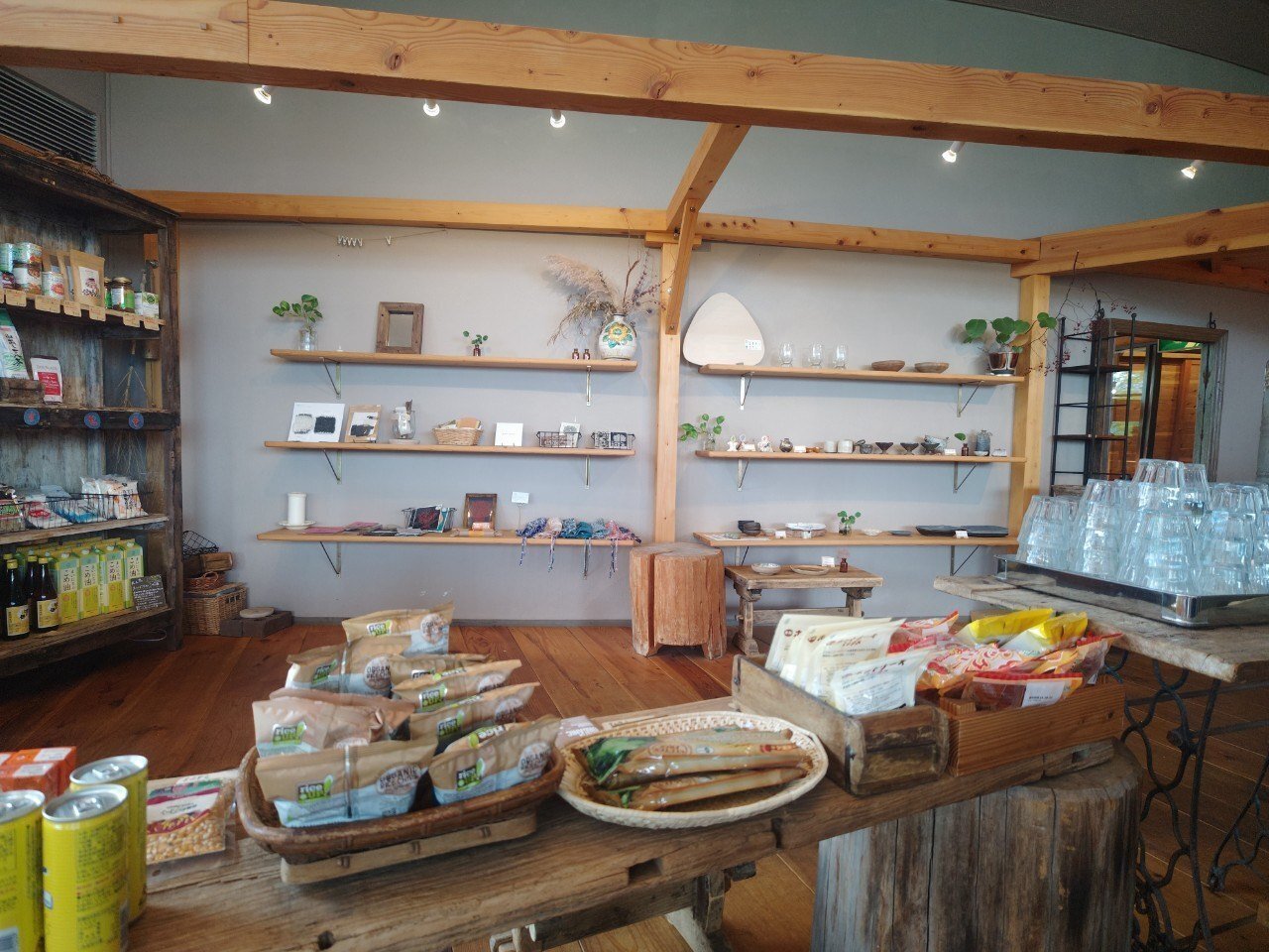 信楽へ皿を買いに行った話｜4season