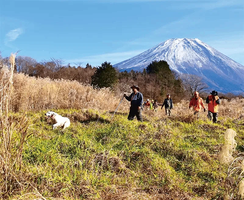 大会レポート】鳥猟犬界のビッグイベント 〜 第61回全日本チャンピオン