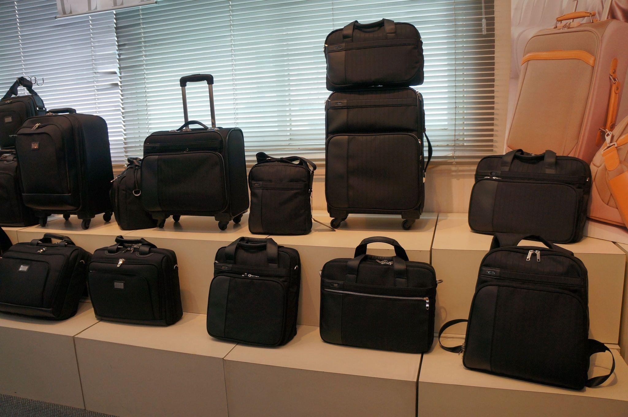 生産が難しい中型犬用のキャリーバッグを開発した理由！TAKE ME