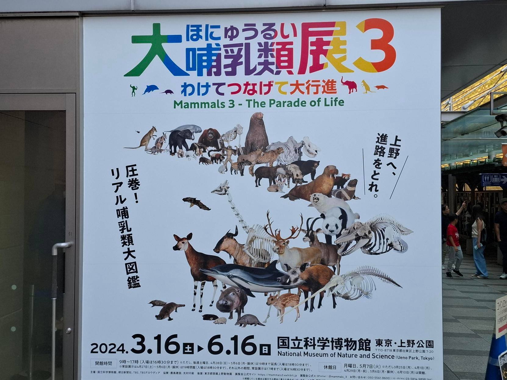 日記 大哺乳類展3とタイタンシネマライブ｜木屑問屋