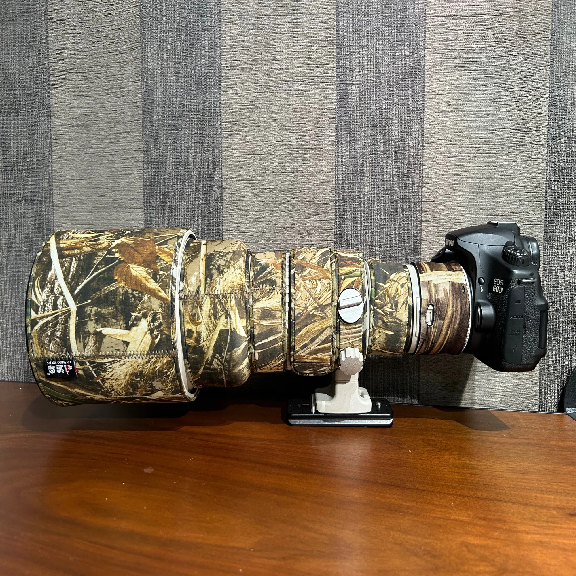 新しいカメラとレンズがやってきた（前編） EOS R7+RF200-800｜江戸川鳥蔵