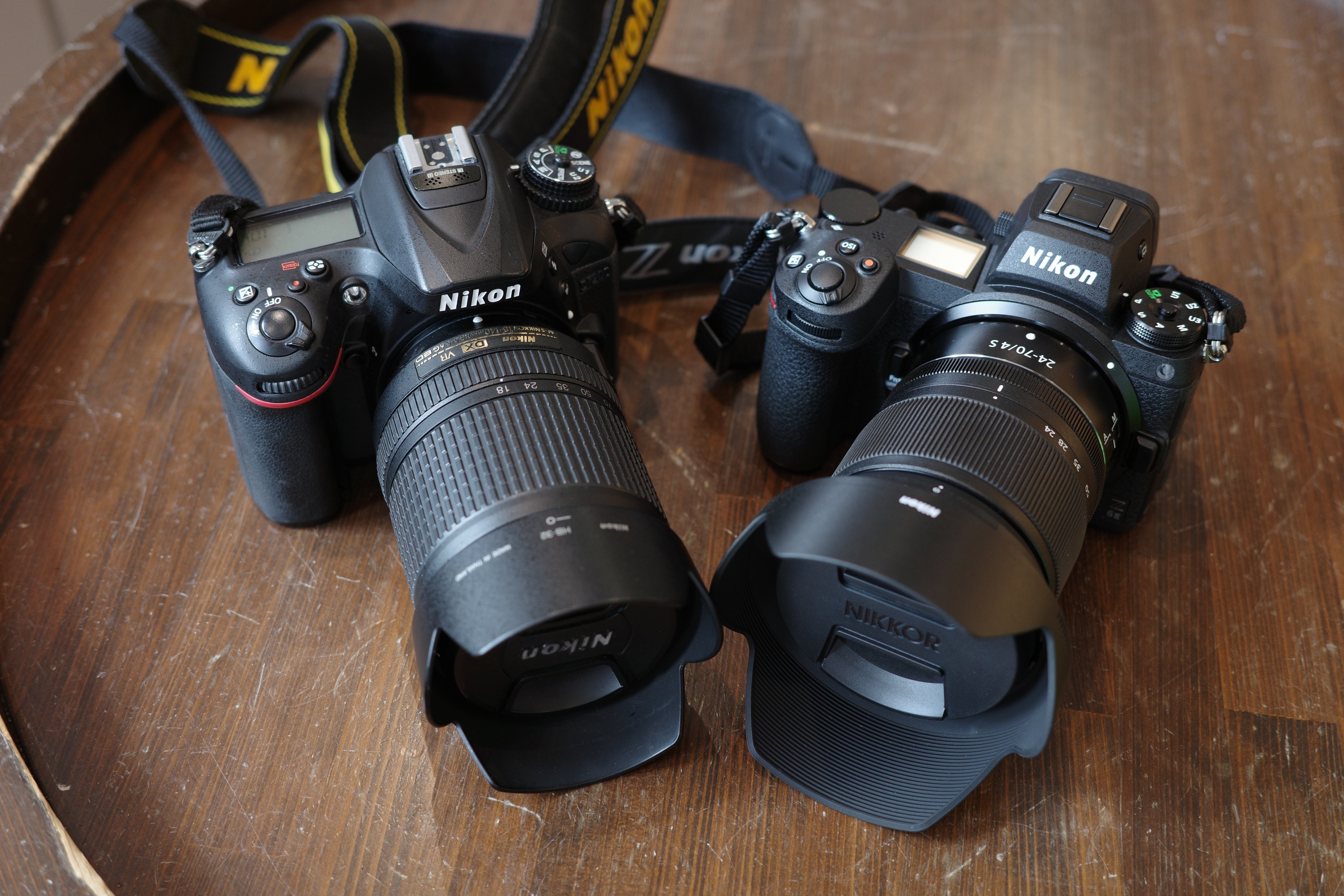 Nikon Z6Ⅲが発表されたときにあえてZ6Ⅱの話|みやくふ Nikon Z6Ⅲが発表されたときにあえてZ6Ⅱの話|みやくふ