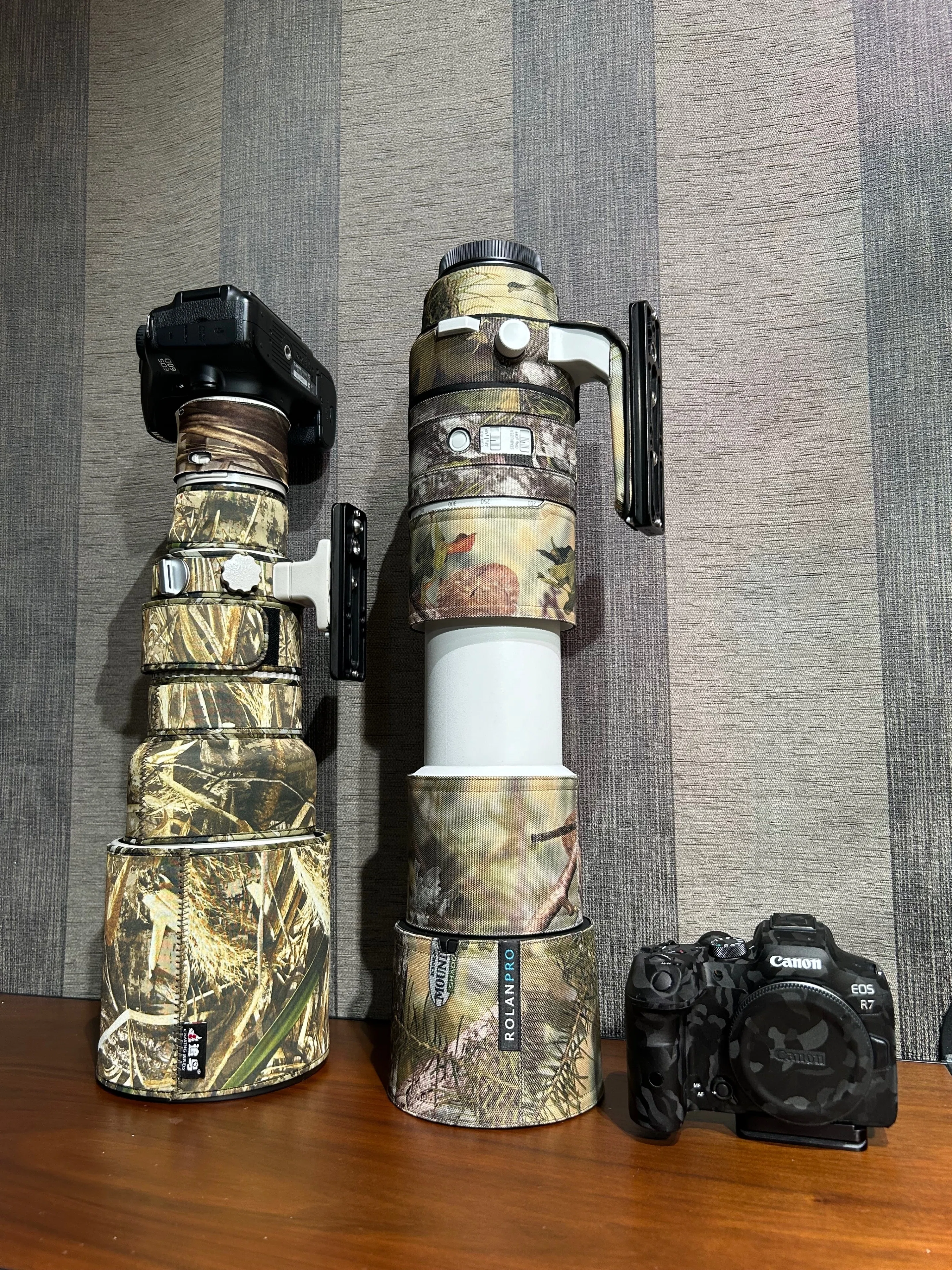 新しいカメラとレンズがやってきた（前編） EOS R7+RF200-800｜江戸川鳥蔵