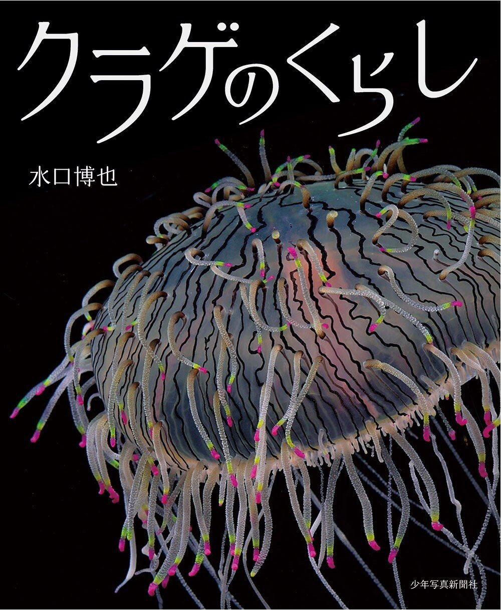 くらげページ クラゲ ボールチェーンマスコット – ネイチャーテクニカラー公式