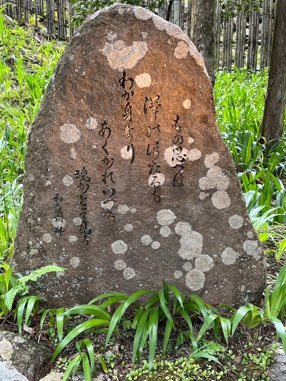 精麻龍　貴船神社御神氣入り 精麻の守護龍 ヒトには一人一柱の龍さんが守護についてくれていると