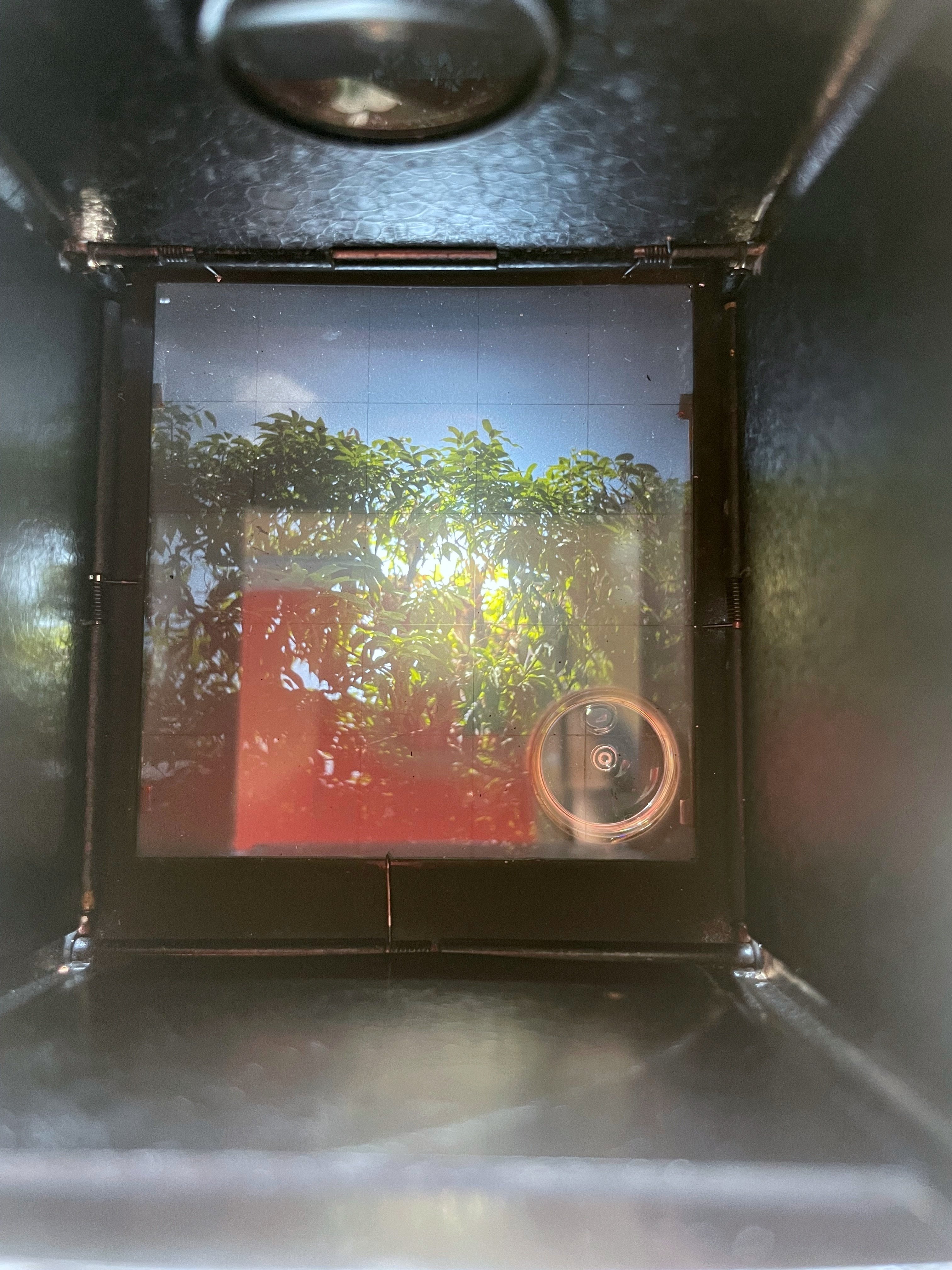 Rolleiflex Standard やっと購入した本格的？二眼レフカメラ｜nono