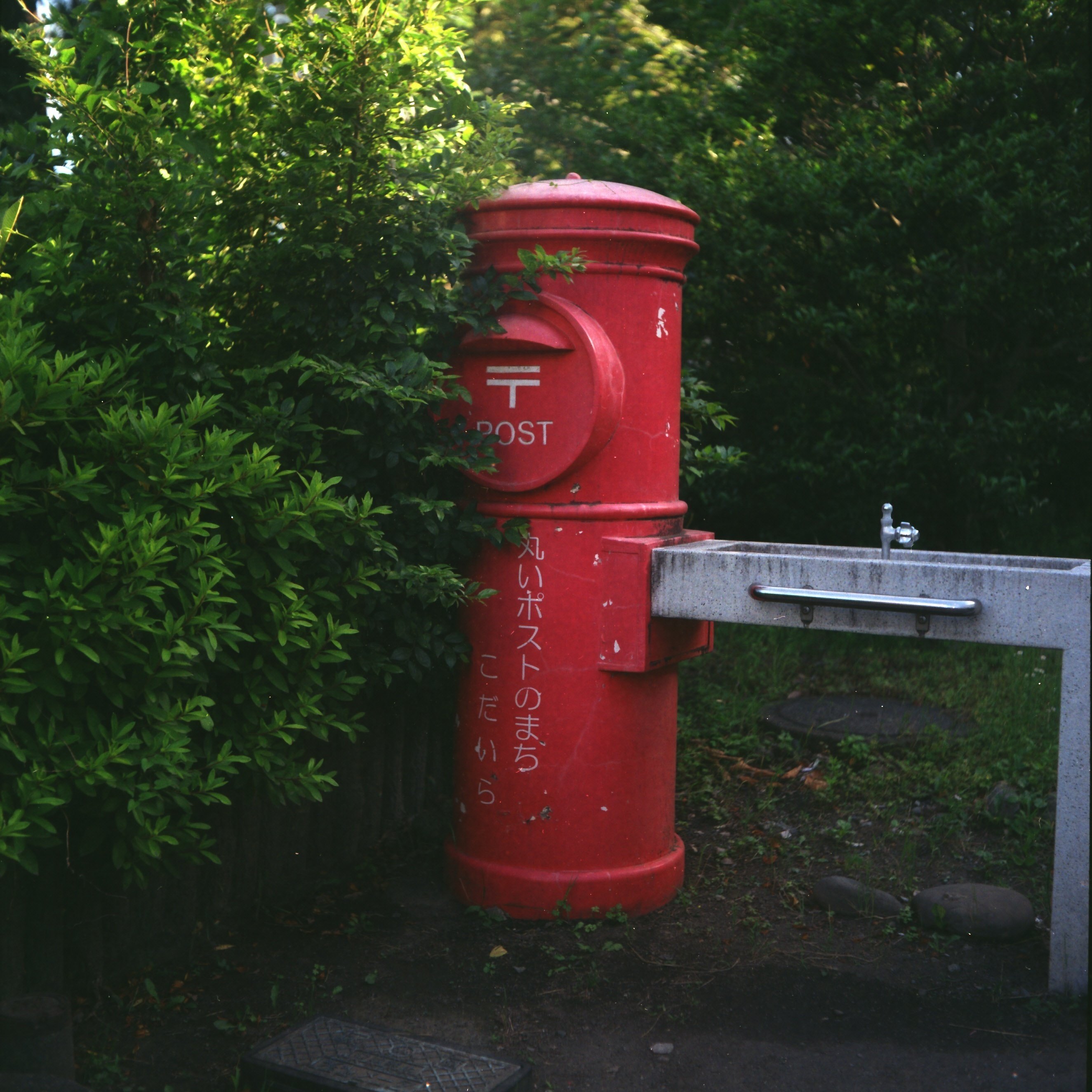 希少】Rolleiflex Standard Neu スタンダード・ノイ 中古在庫情報