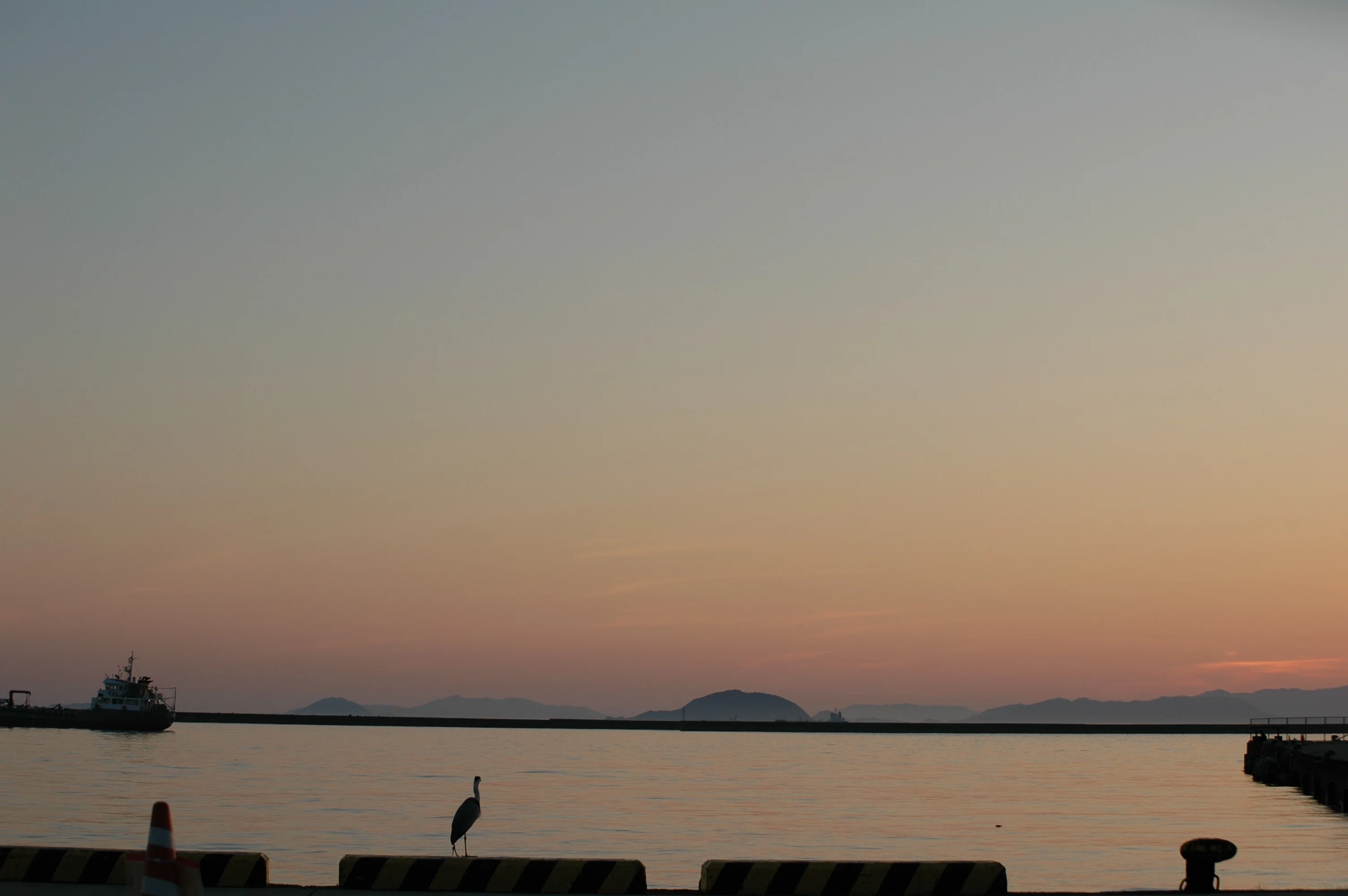 レンズ沼あれこれ：Tokina AT-X PRO SD 50-135mm F2.8DX｜ひっくすK