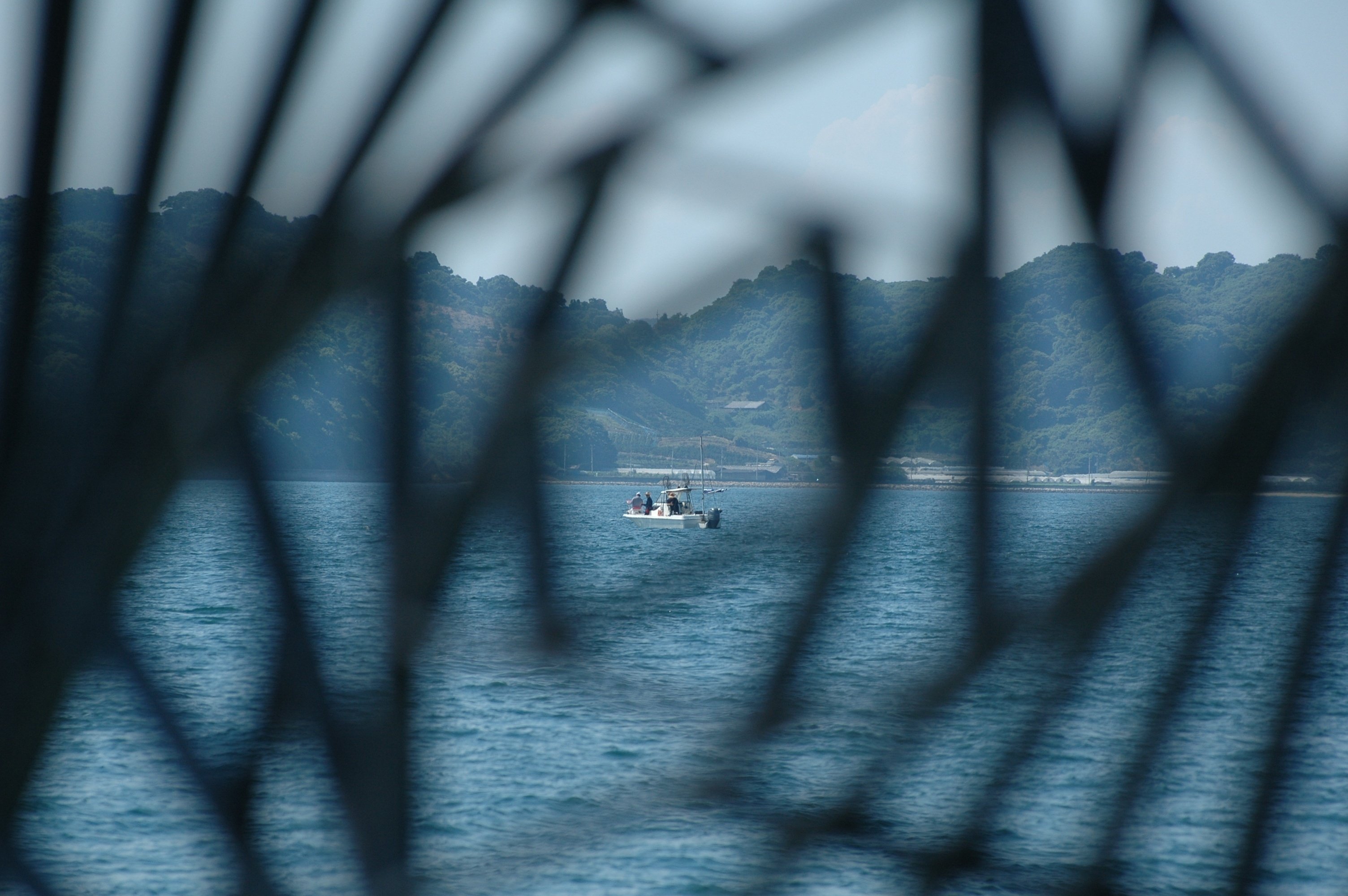 レンズ沼あれこれ:Tokina AT-X PRO SD 50-135mm F2.8DX|ひっくすK レンズ沼あれこれ:Tokina AT-X PRO SD 50-135mm F2.8DX|ひっくすK