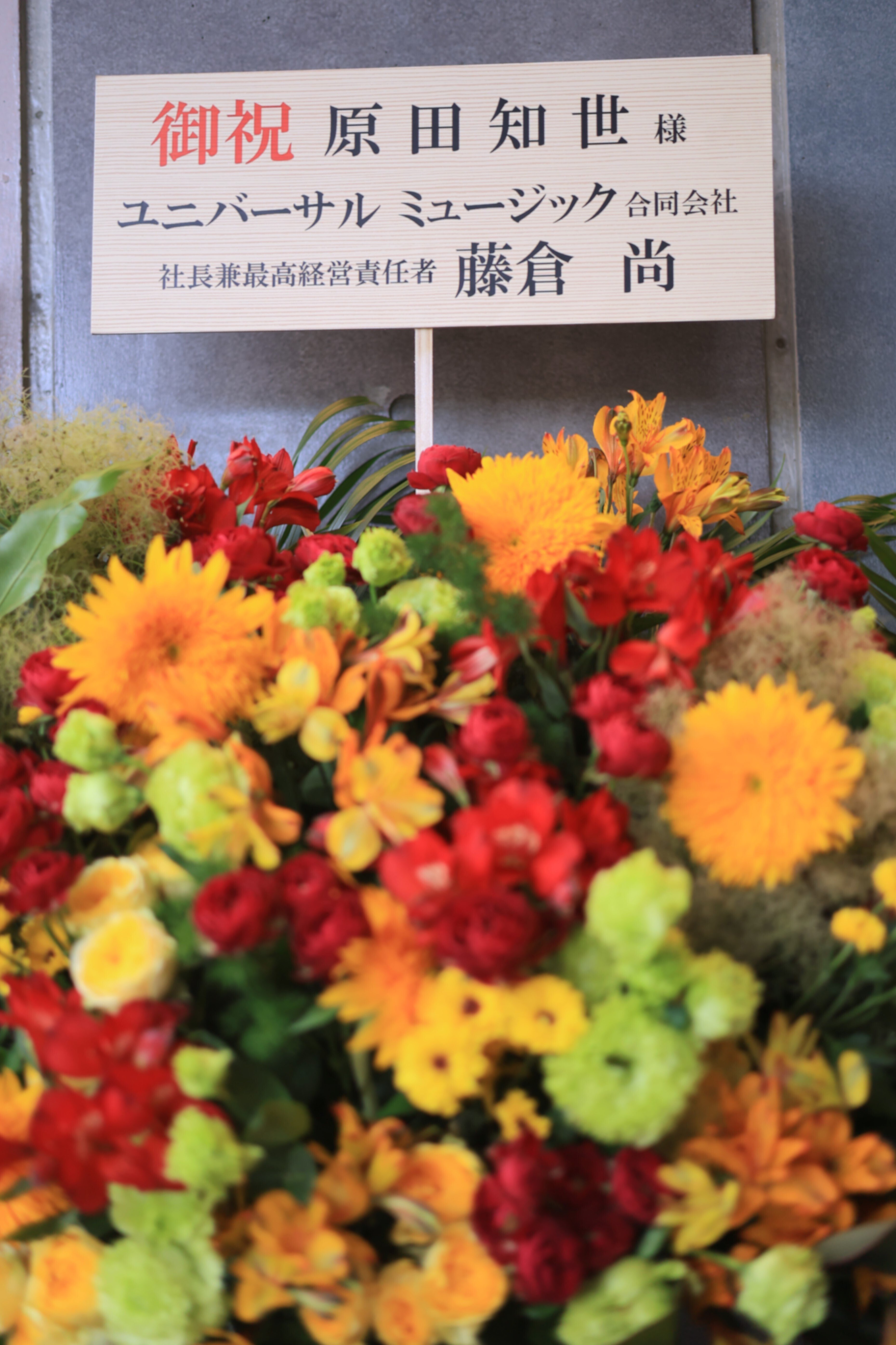 ver.2【ライブメモ】原田知世 『恋愛小説4〜音楽飛行』リリースツアー