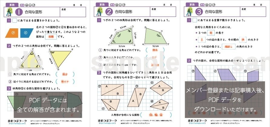図形の極み　5級　☆未記入 解答付き 確認テスト＋テスト解答付き 難解に見えるのに超気持ちよく解ける 感動する図形問題 まさし