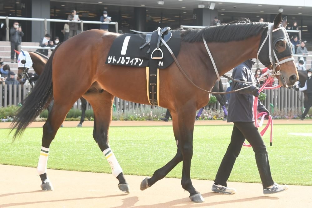 【北米競馬】レーンズエンドファーム 2021スタリオンブック 2025超人気 北米競馬】レーンズエンドファーム 2021スタリオン