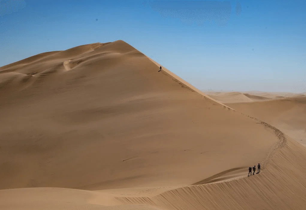 大砂丘(Photo Credit: Racing The Planet)