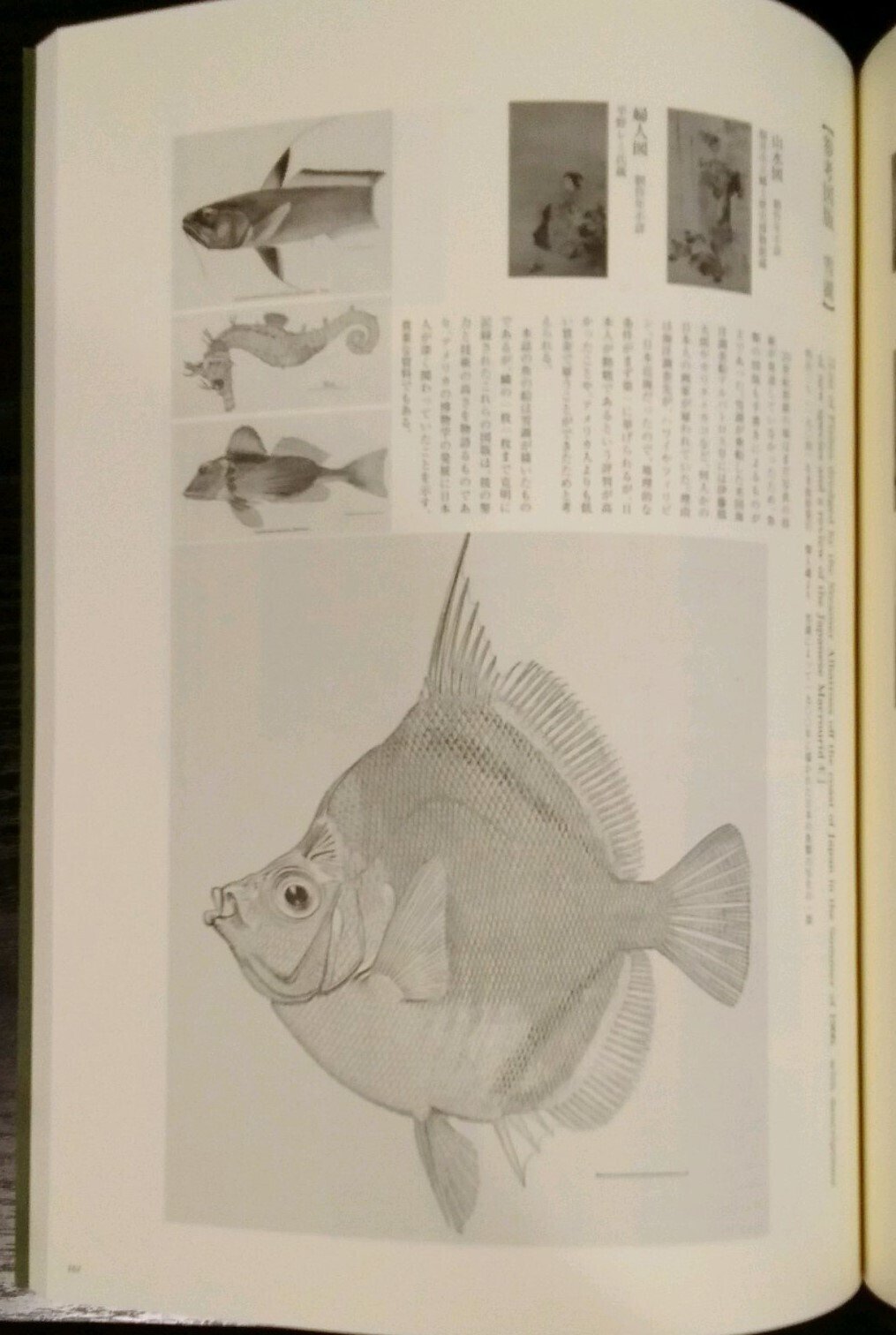 島田墨仙　山水　日本画　歴史画　掛軸 島田墨仙 山水 日本画 歴史画 掛軸