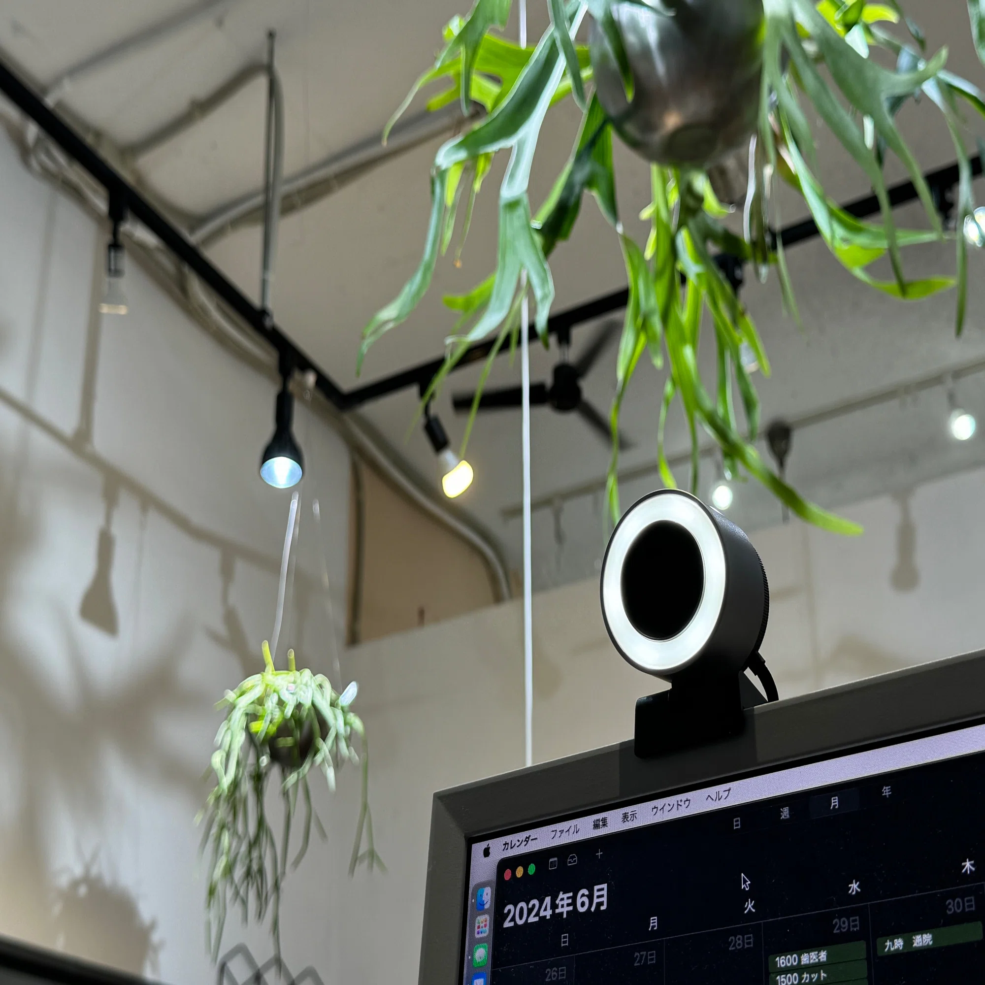 最新のWebカメラをお店視点で試した話 「BenQ ideaCam S1 Pro」｜山下 