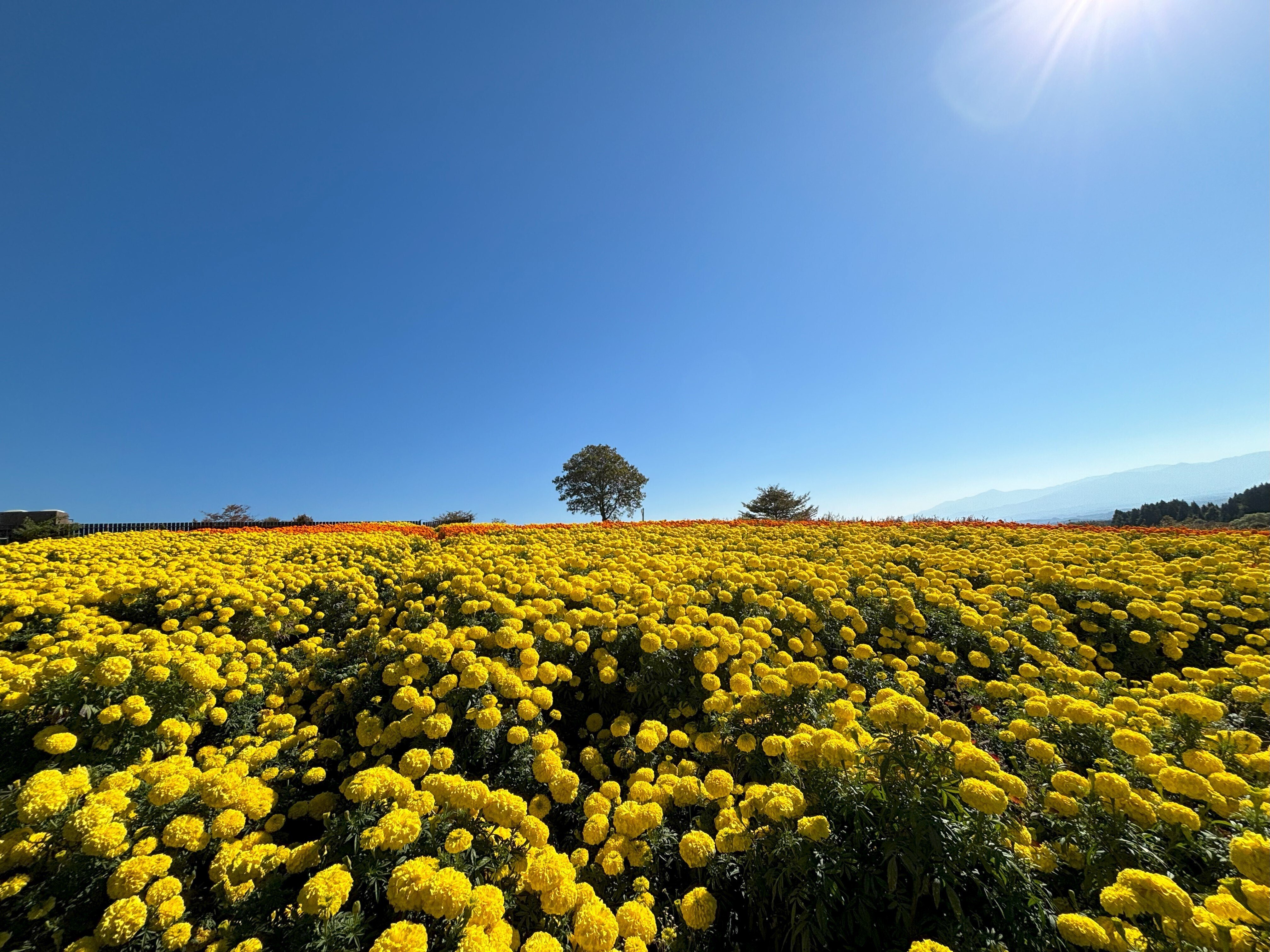 自然風景写真の難しさ｜写真家つねさん