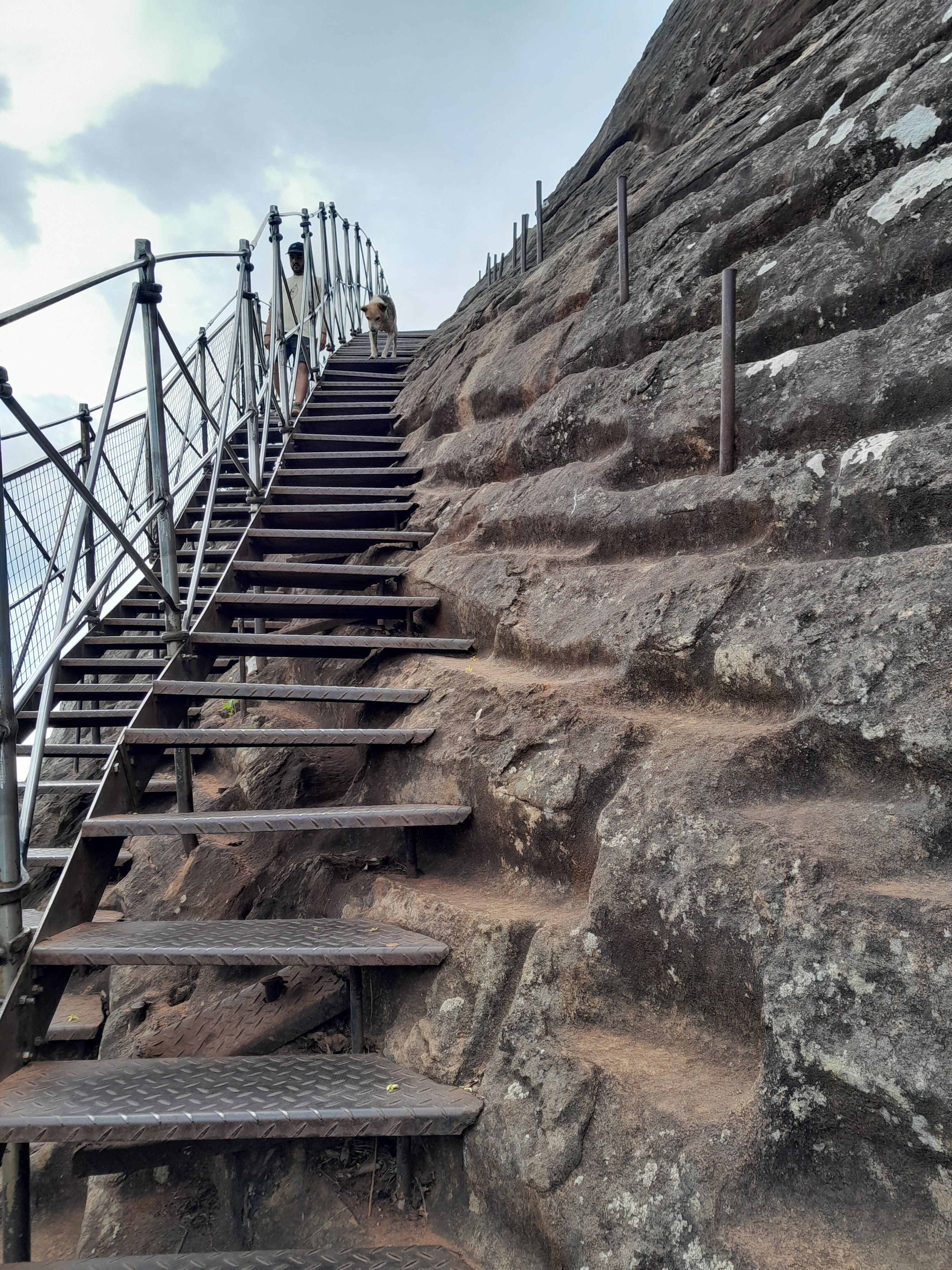 スリランカ シギリヤロックに登ってシギリヤレディの壁画を見る｜ある