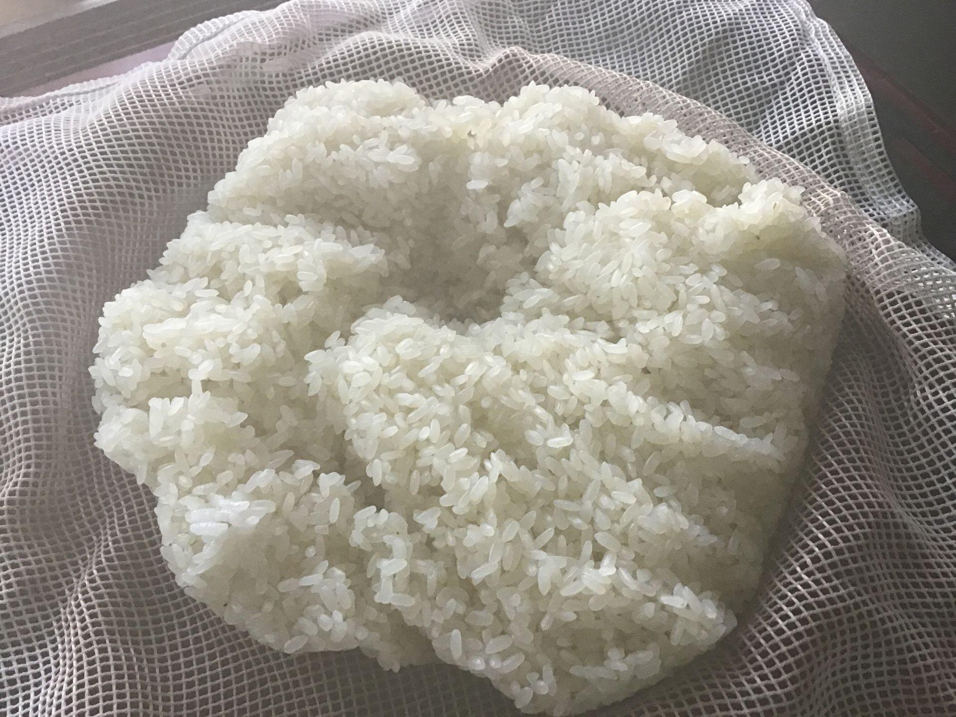 麹作り箱　数回使用 麹蓋（もろぶた・こうじ蓋）Mサイズ -国産天然杉100%-【送料無料】