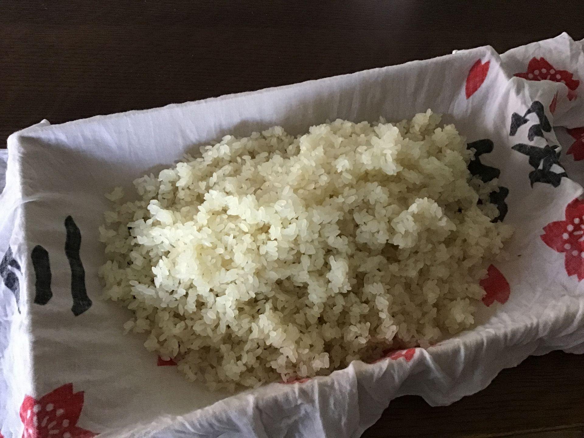 麹作り箱　数回使用 麹蓋（もろぶた・こうじ蓋）Sサイズ -国産天然杉100%