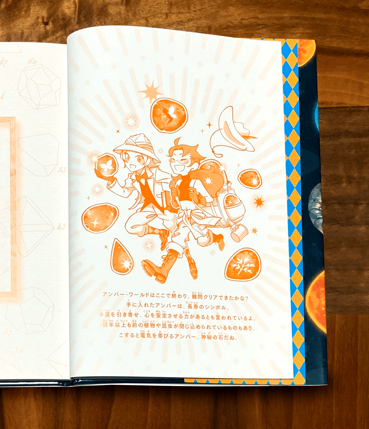 化石　図鑑　異常巻き　アンモナイト　超豪華本 化石 図鑑 異常巻き アンモナイト 超豪華本 化石 図鑑 異常巻き