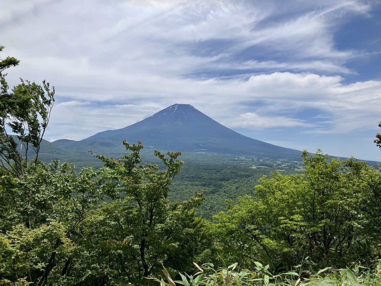 竜ヶ岳からの富士山