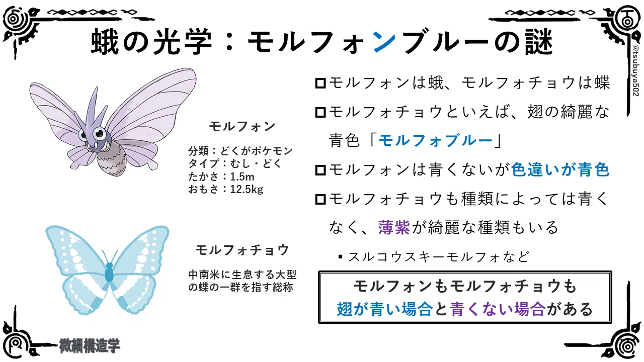 File.02 モルフォンブルーの謎｜螺屋なぎ