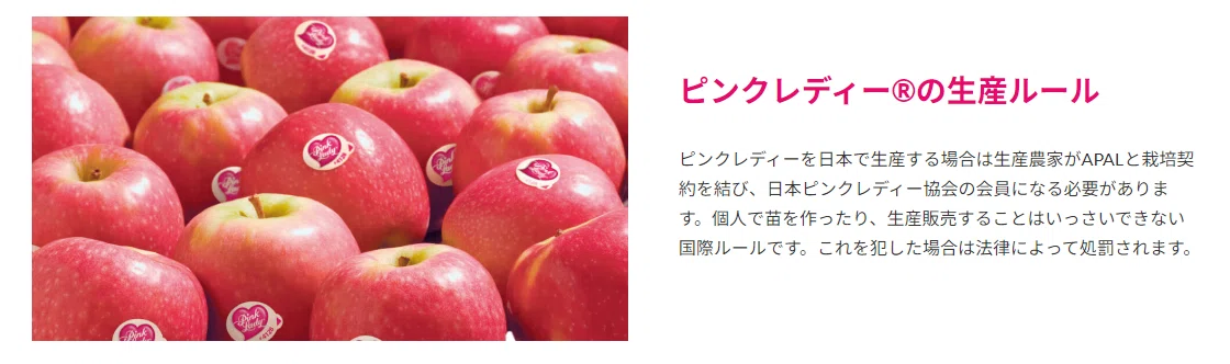 シャンパンのような味わい！超希少リンゴ【ピンクレディ®】の秘密に